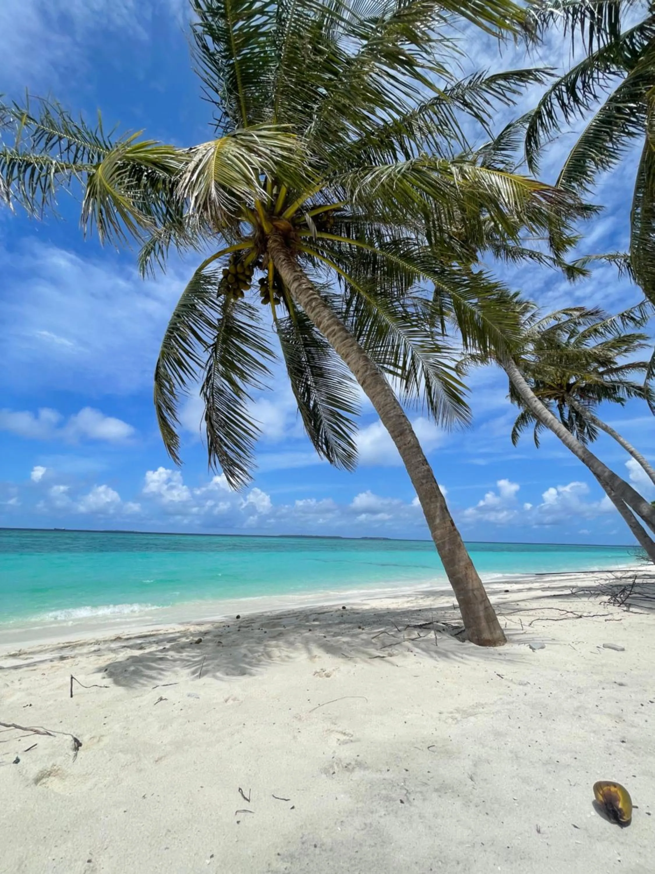 Natural landscape in Viluveli Holiday Retreat