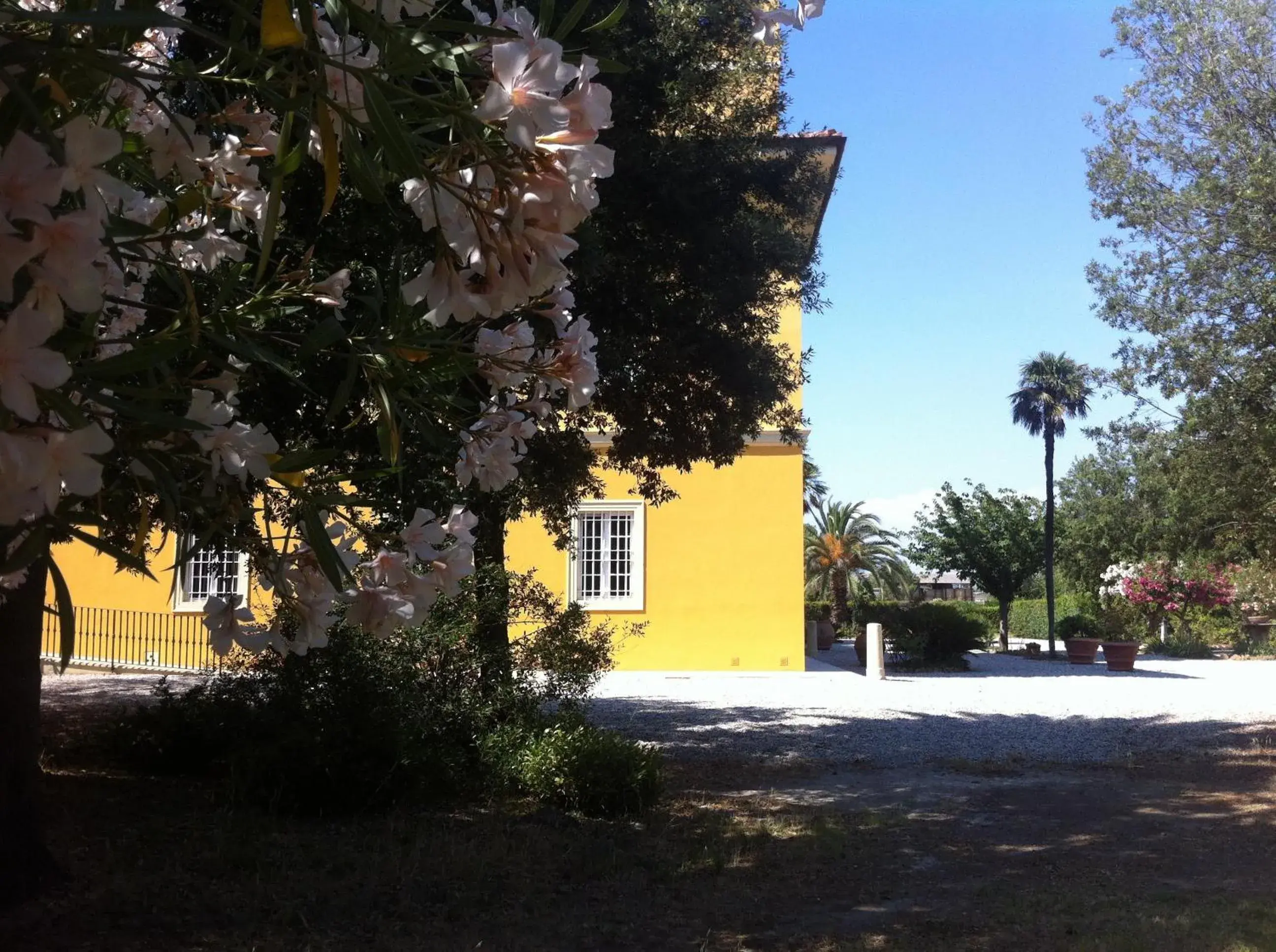 Facade/entrance in Villa Graziani Facade/entrance in Villa Graziani
