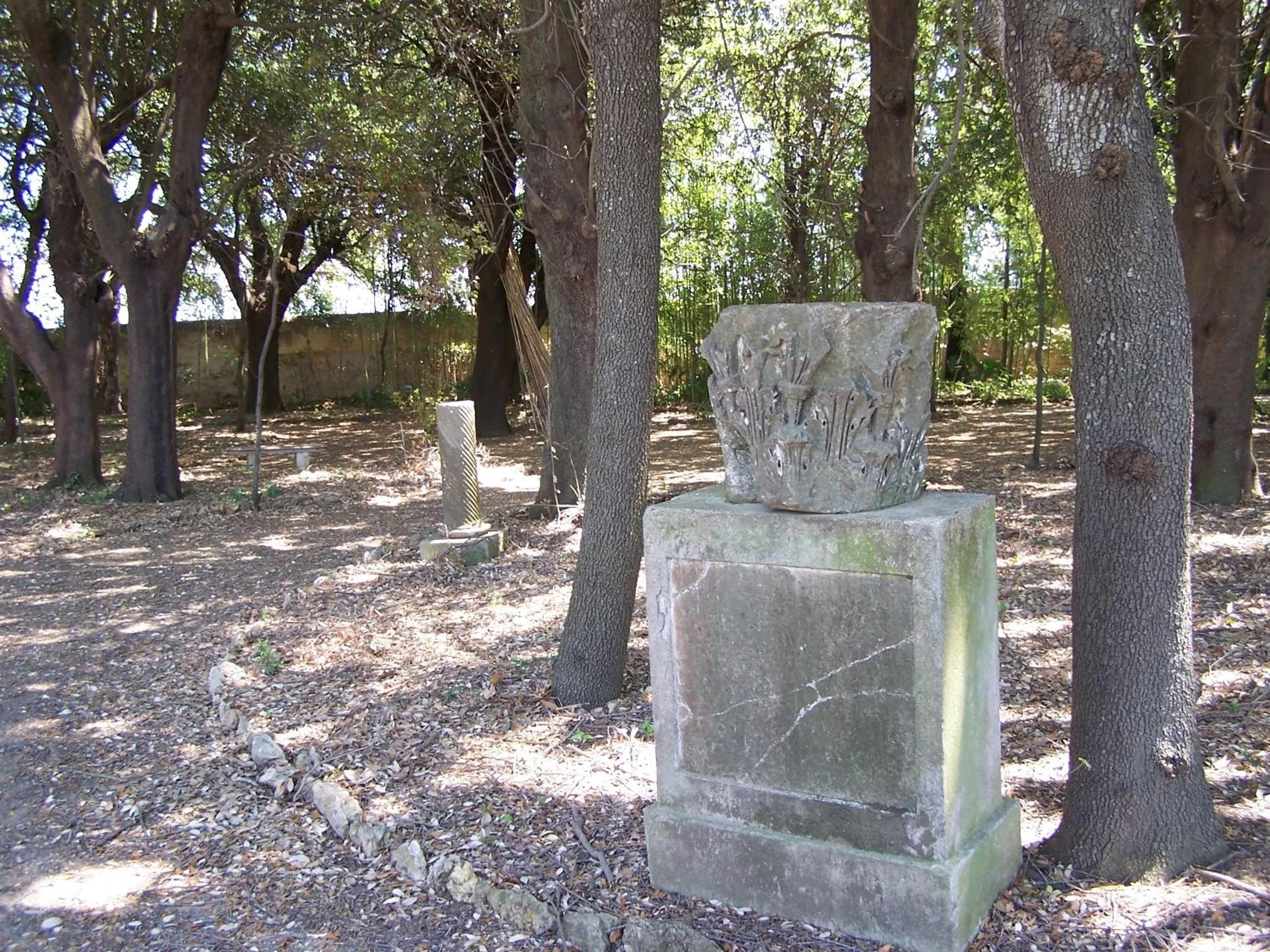 Garden in Villa Graziani