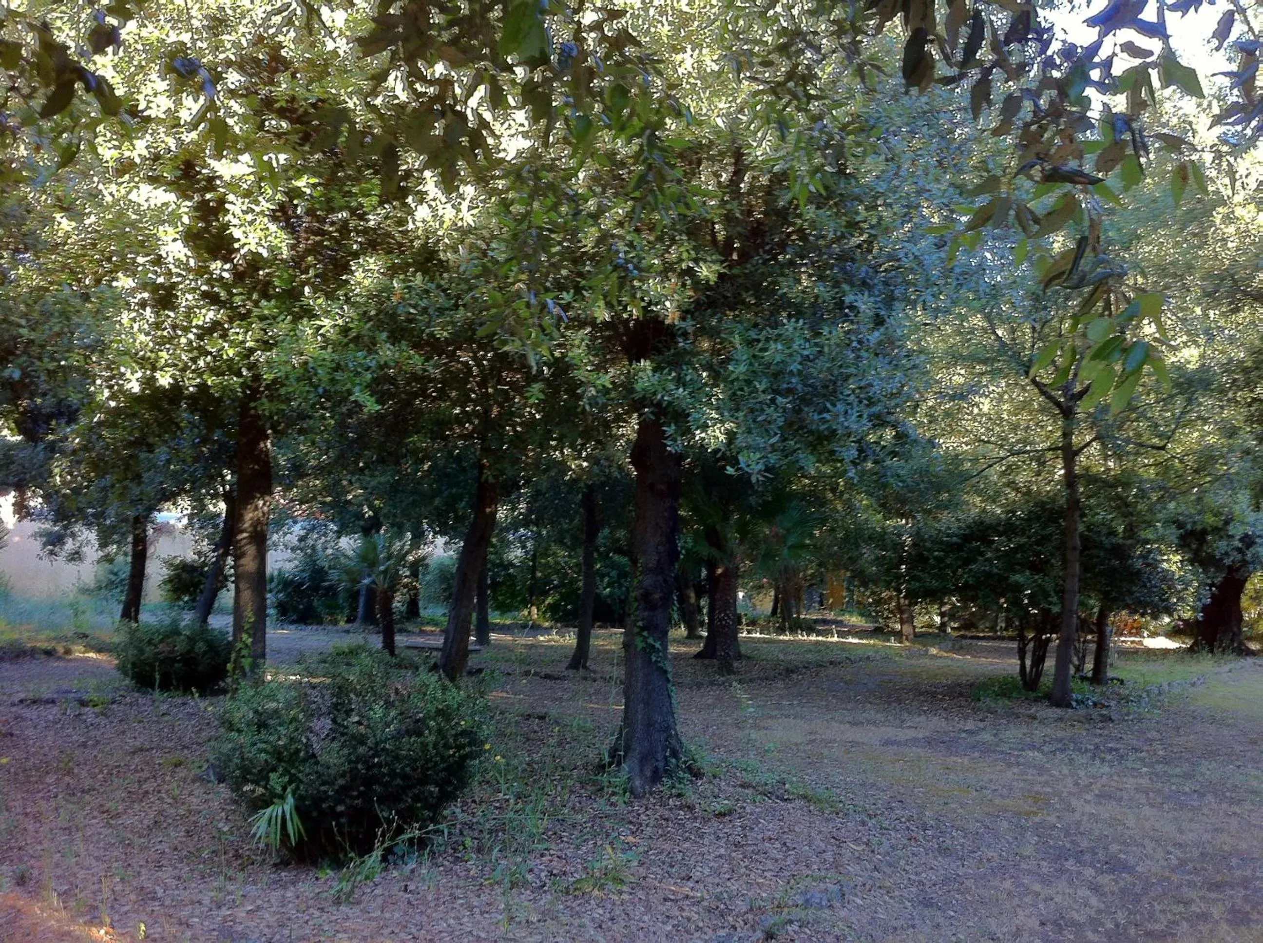 Garden in Villa Graziani