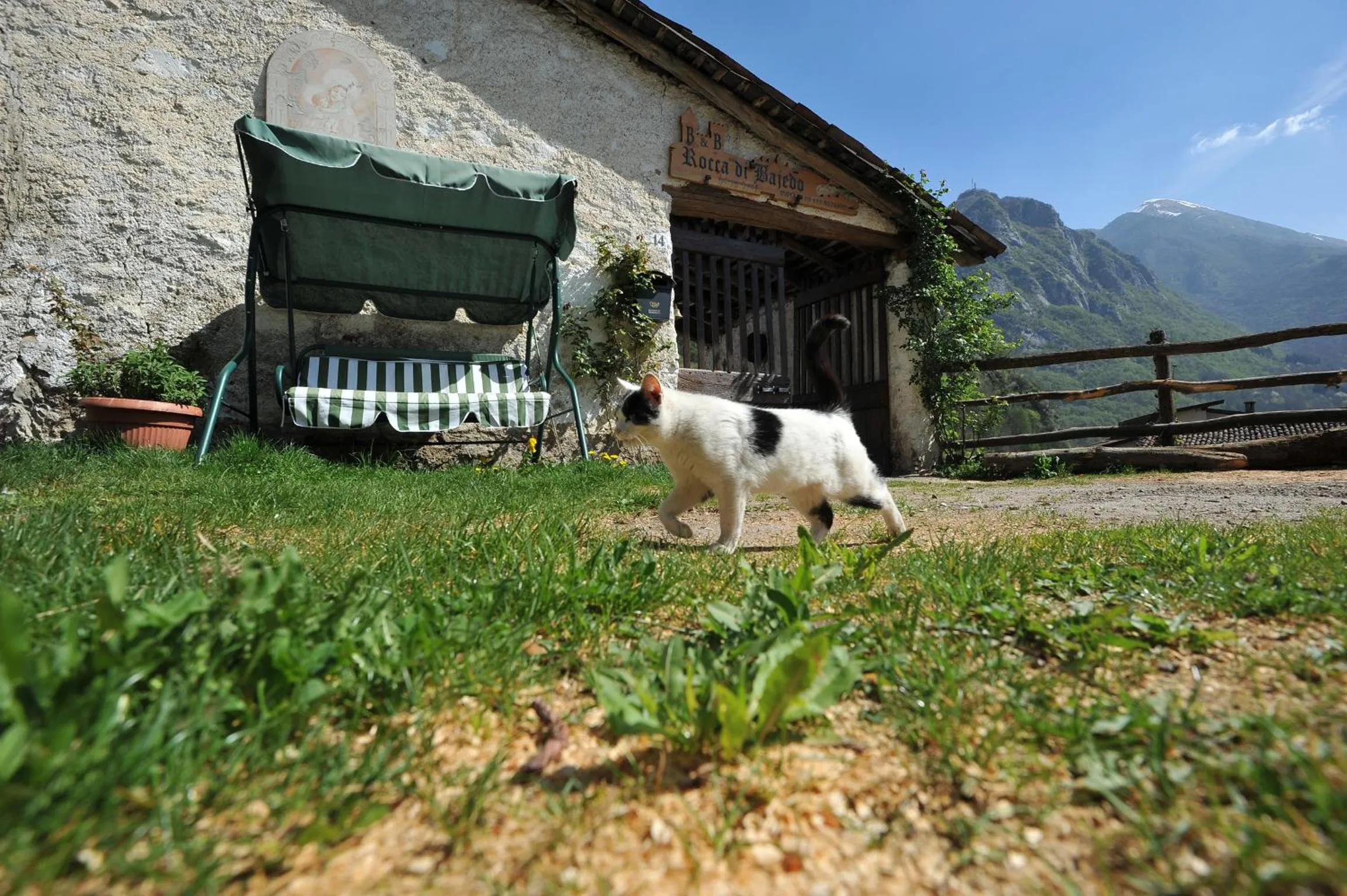 Garden in B&B Rocca di Bajedo