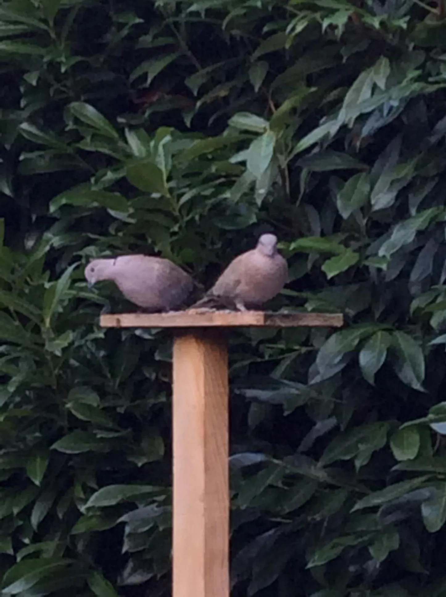 Balcony/Terrace in Les Cabanes de Do