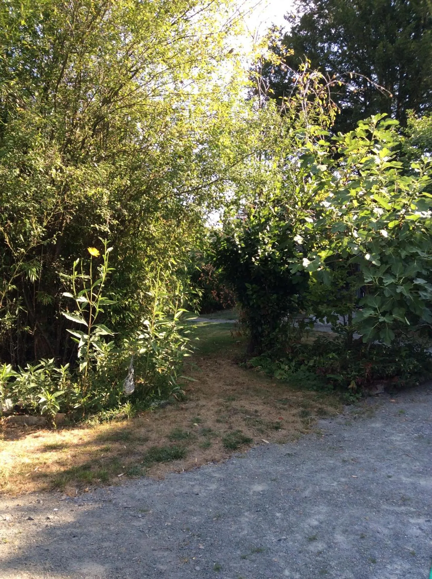 Garden in Les Cabanes de Do
