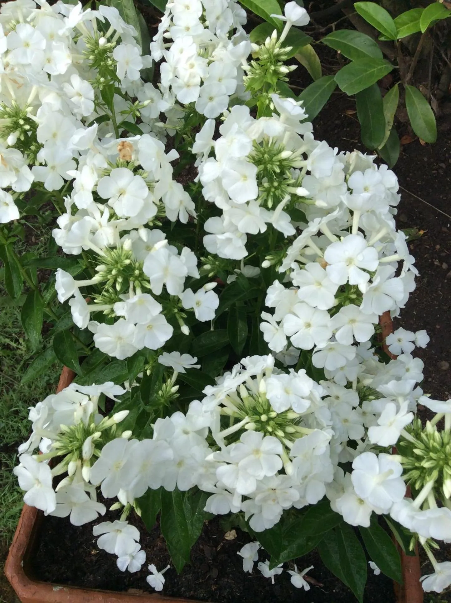 Garden view in Les Cabanes de Do