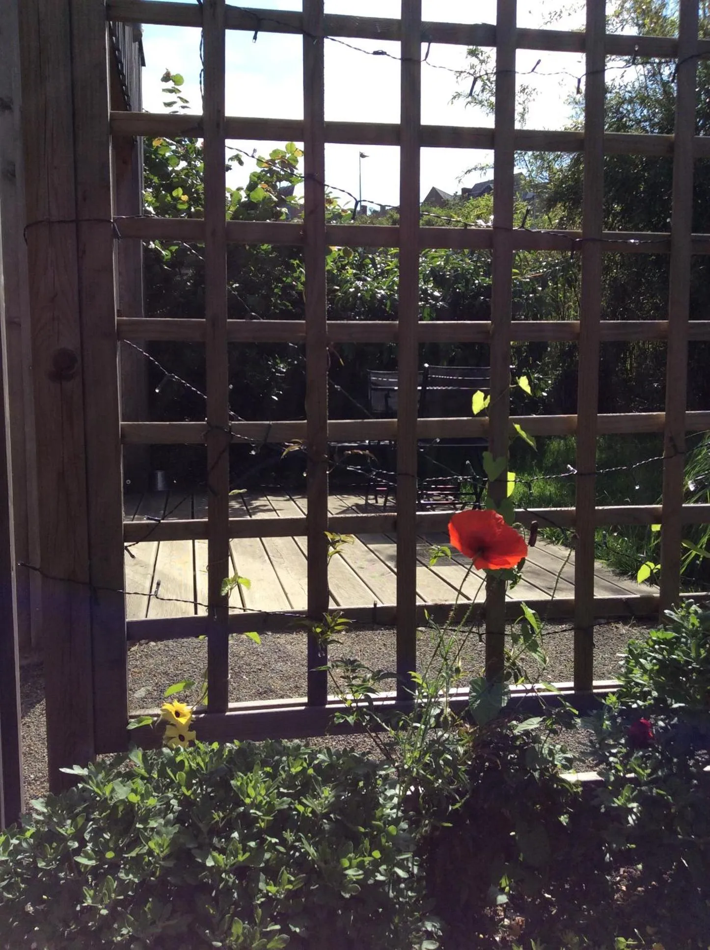 Balcony/Terrace in Les Cabanes de Do
