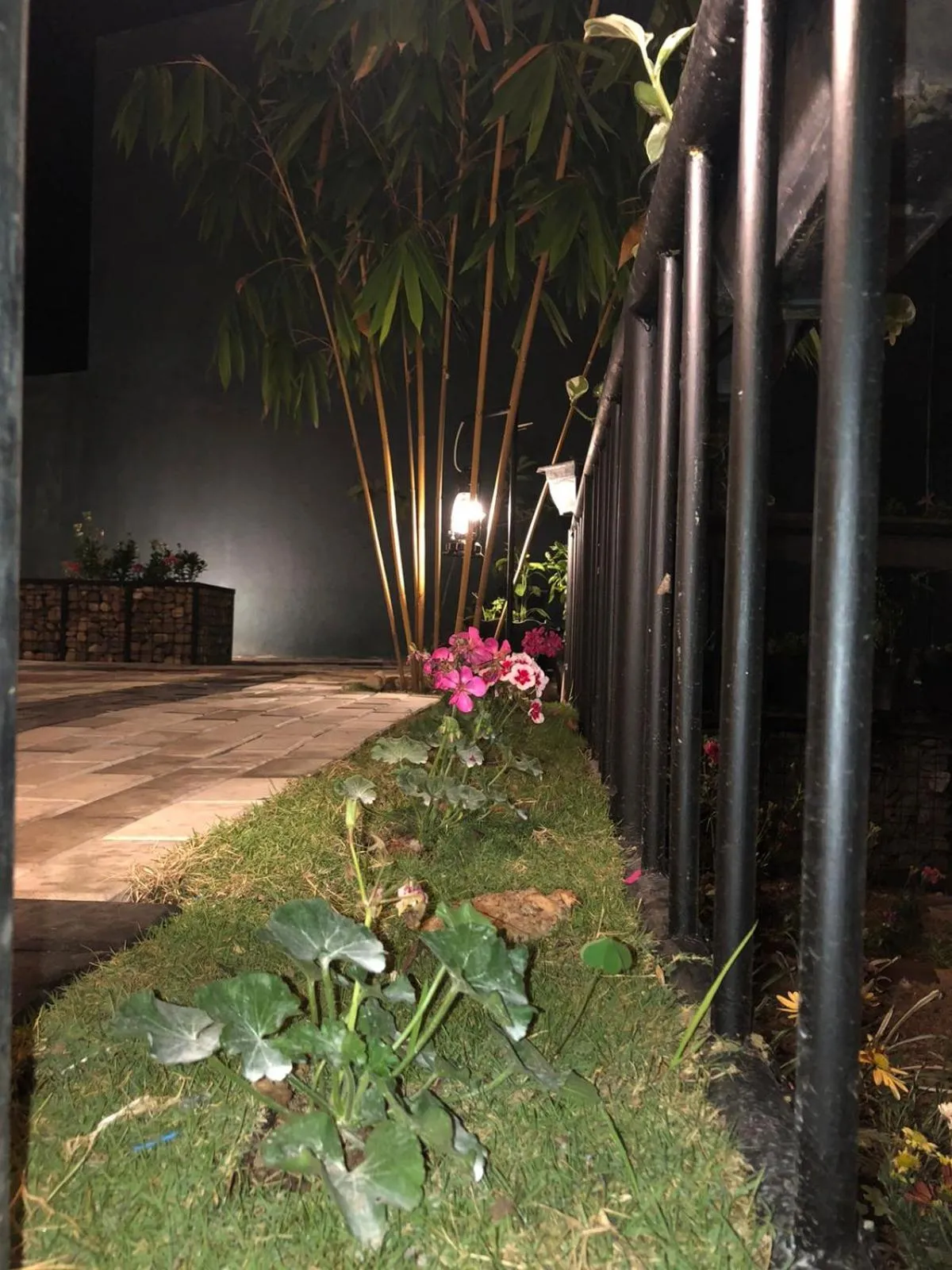 Garden in 3 Arch Resort Ella