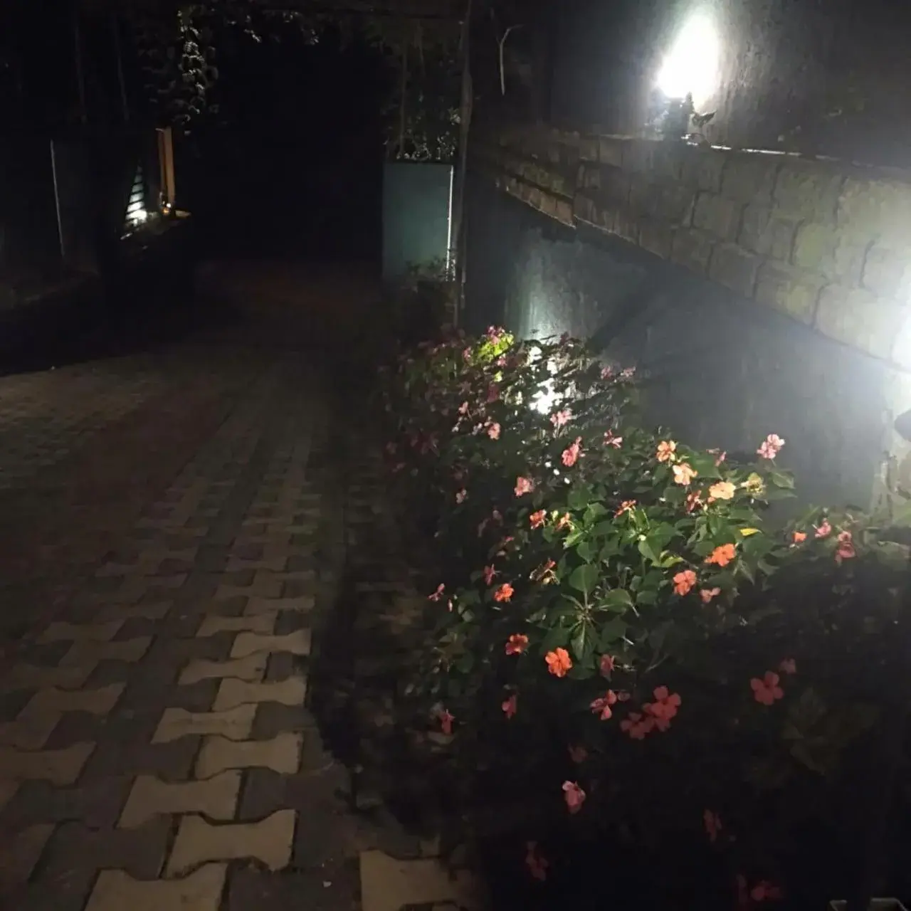 Garden view in 3 Arch Resort Ella Garden view in 3 Arch Resort Ella