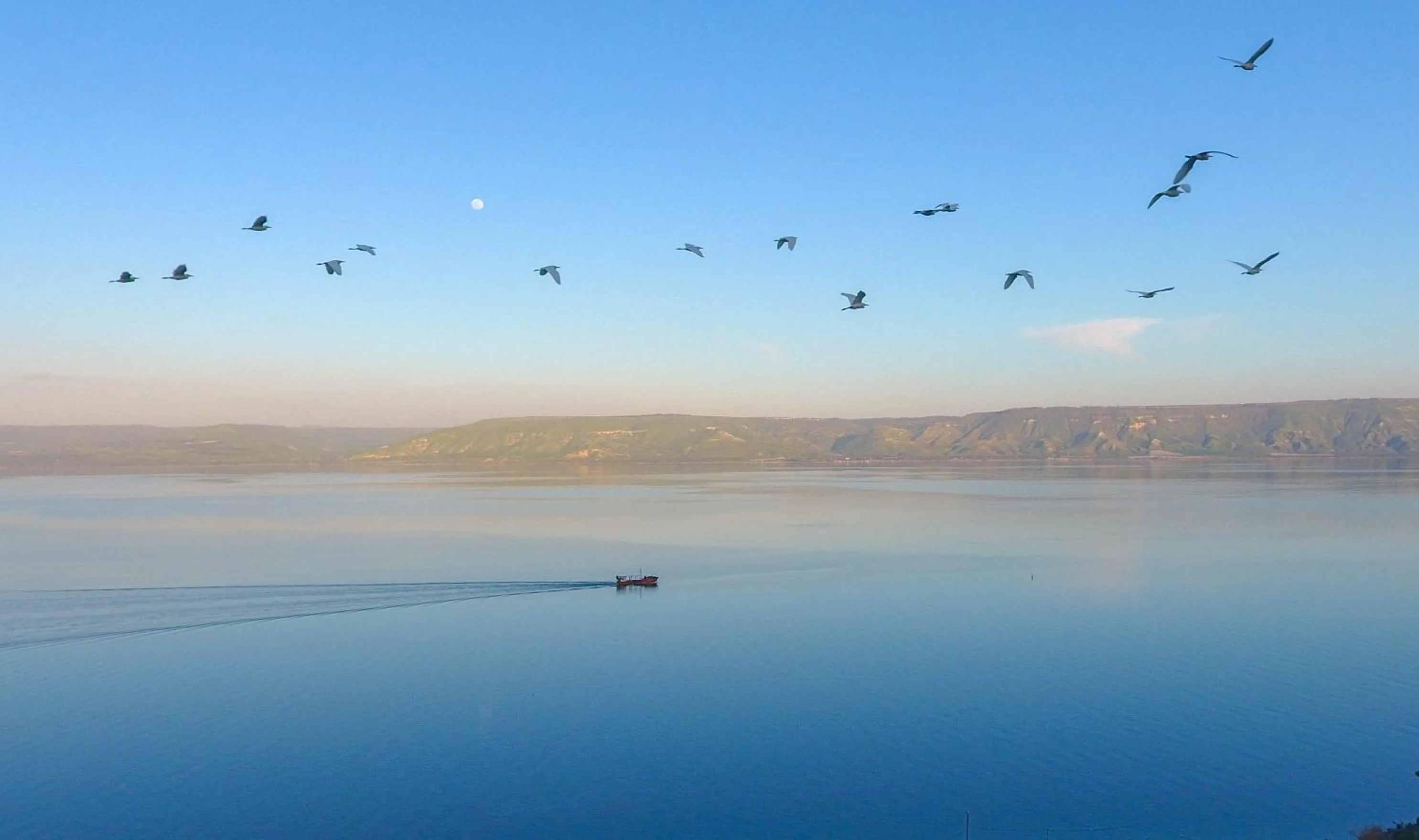 Property building in Selfie's Boutique Hotel