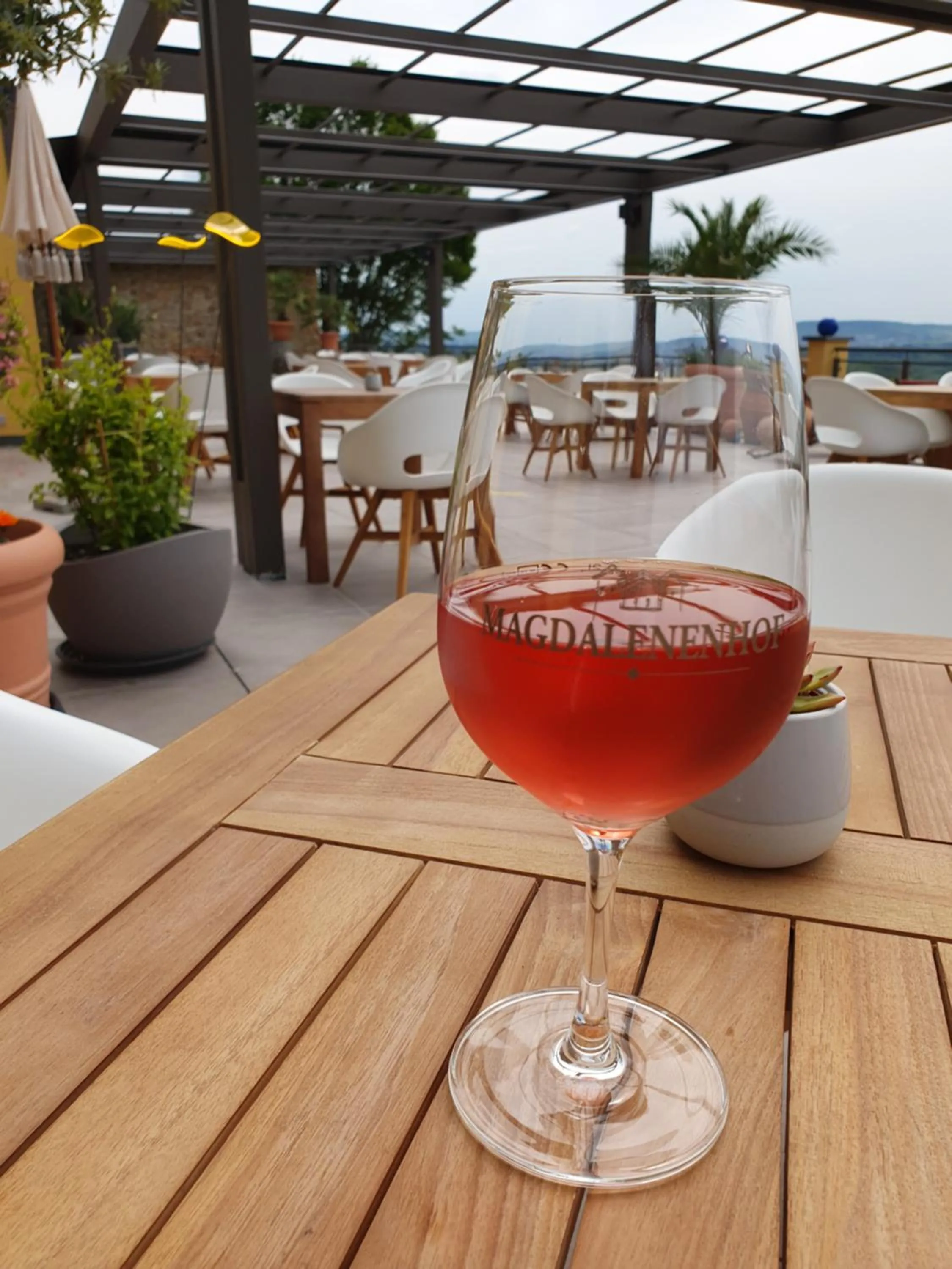 Restaurant/places to eat in Weingut Magdalenenhof