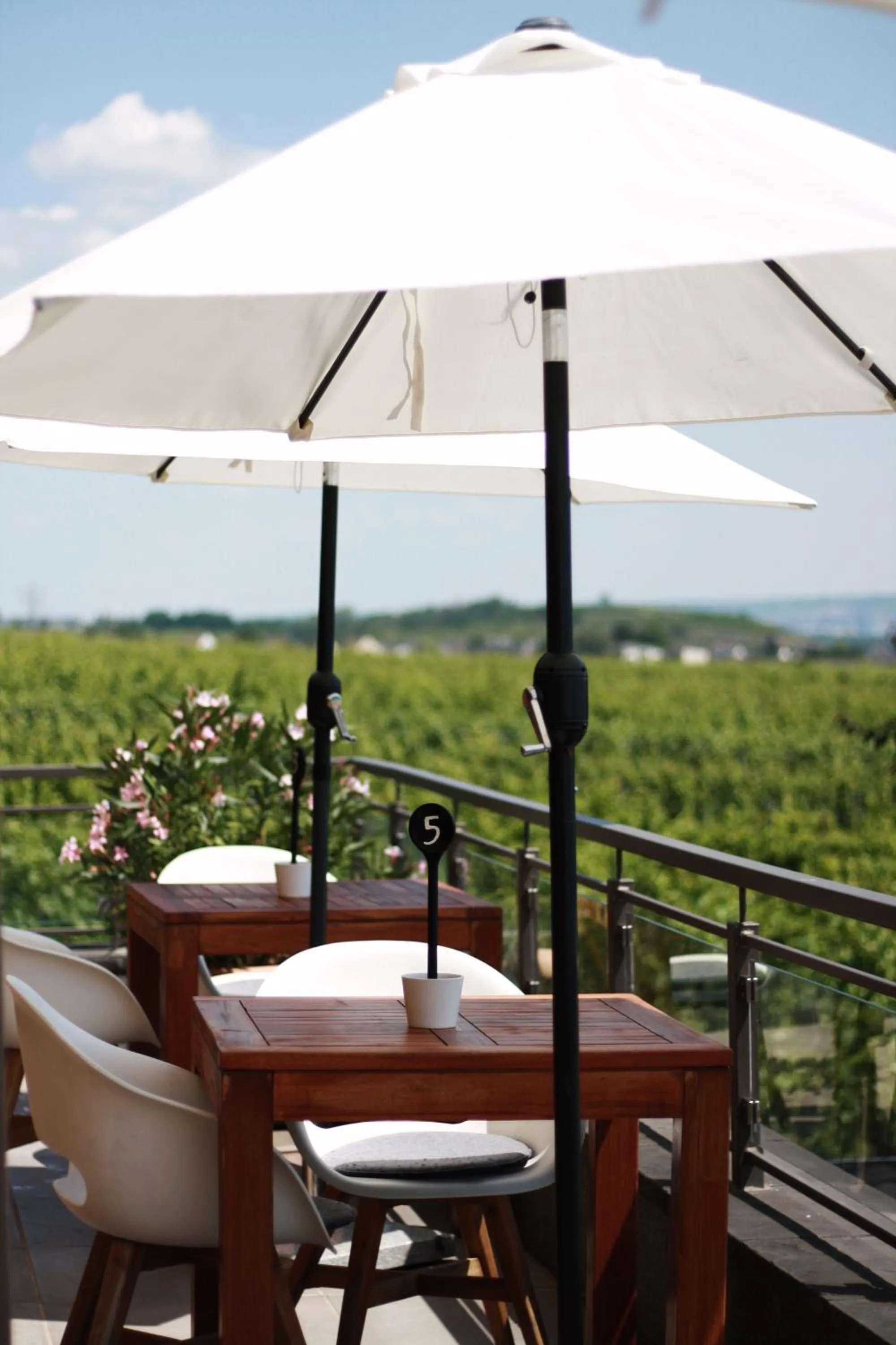 Restaurant/places to eat in Weingut Magdalenenhof