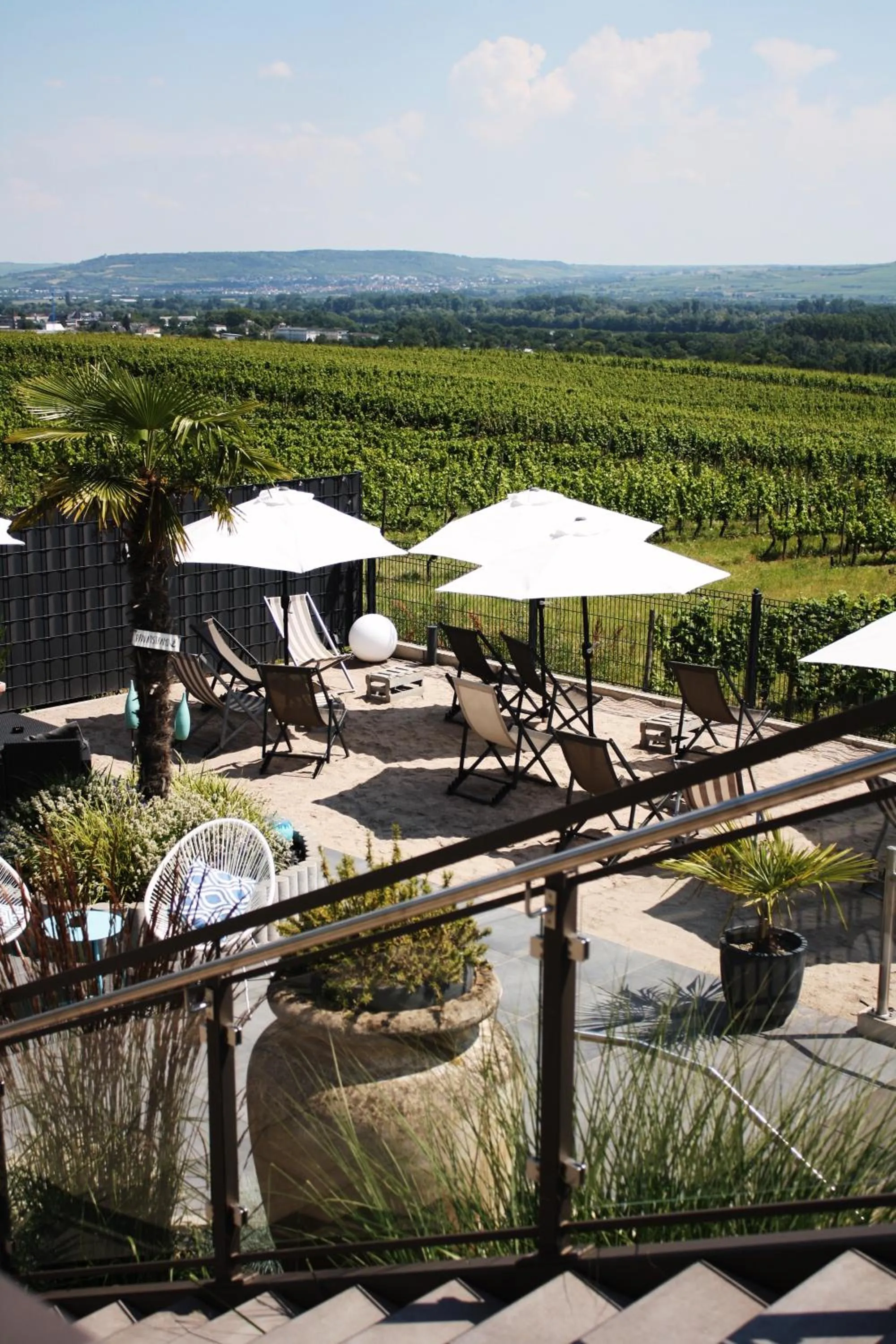 Restaurant/places to eat in Weingut Magdalenenhof