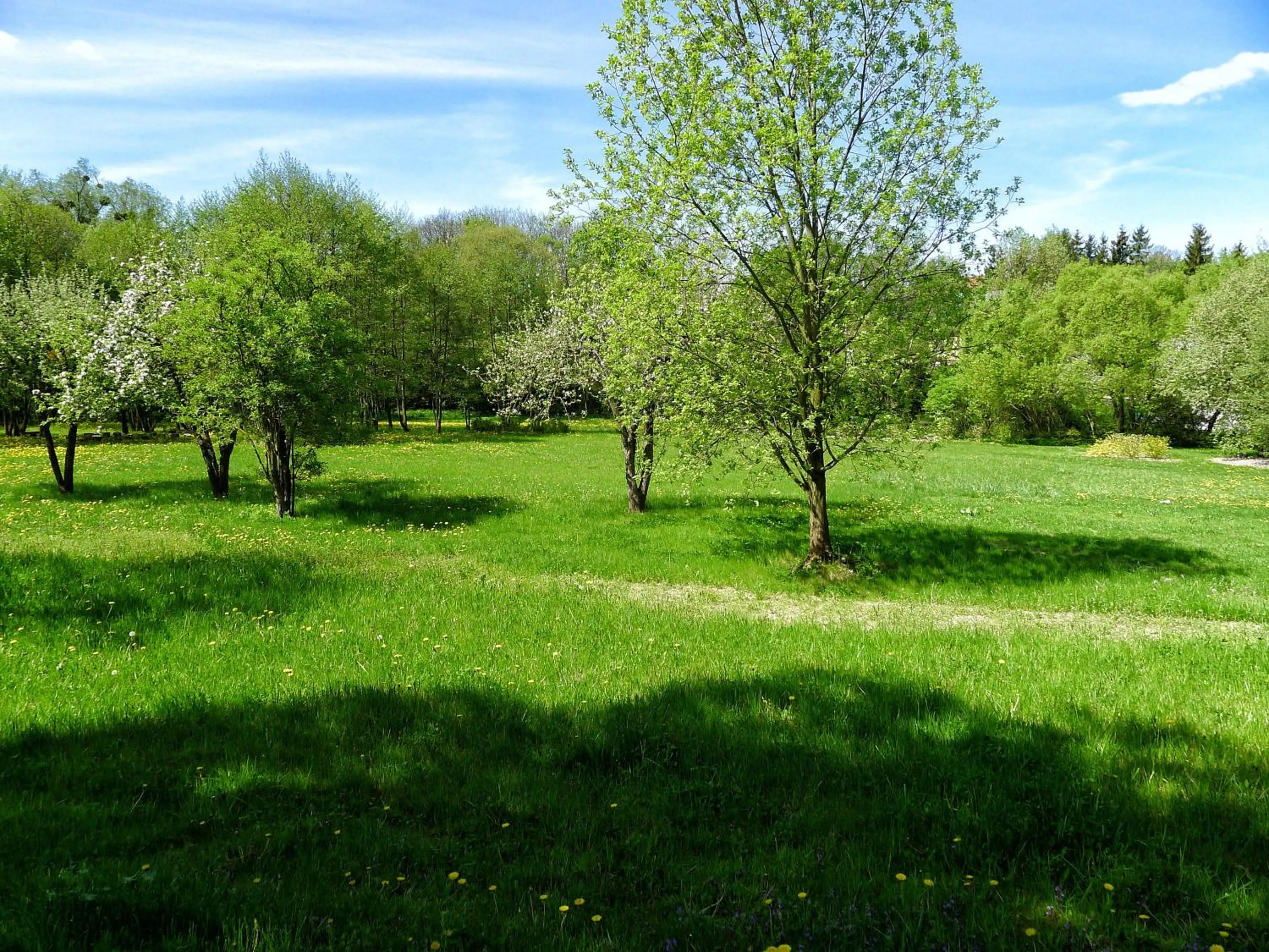 Garden view in Dom Młynarza