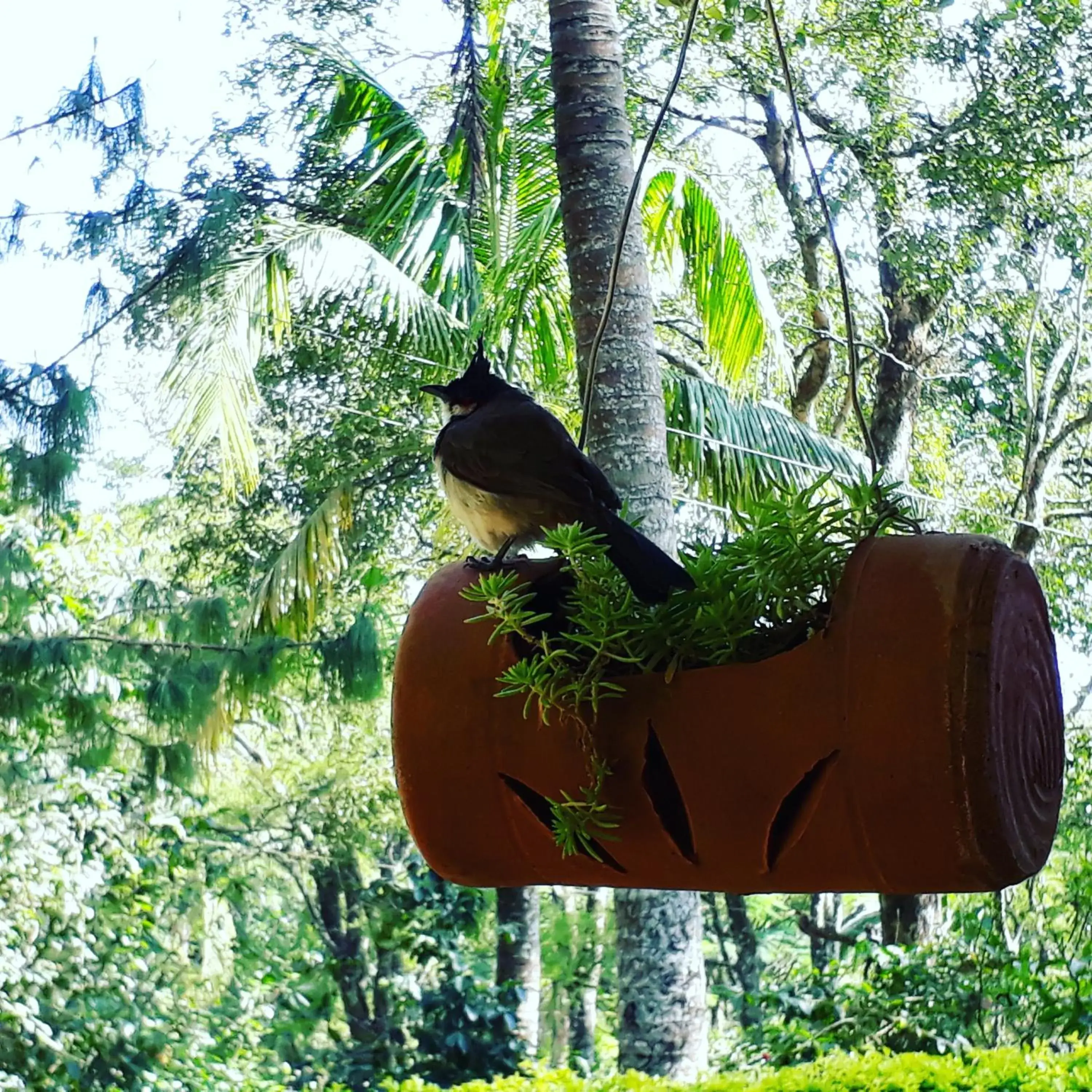 Four-Bedroom Villa in Ambady Estate Four-Bedroom Villa in Ambady Estate