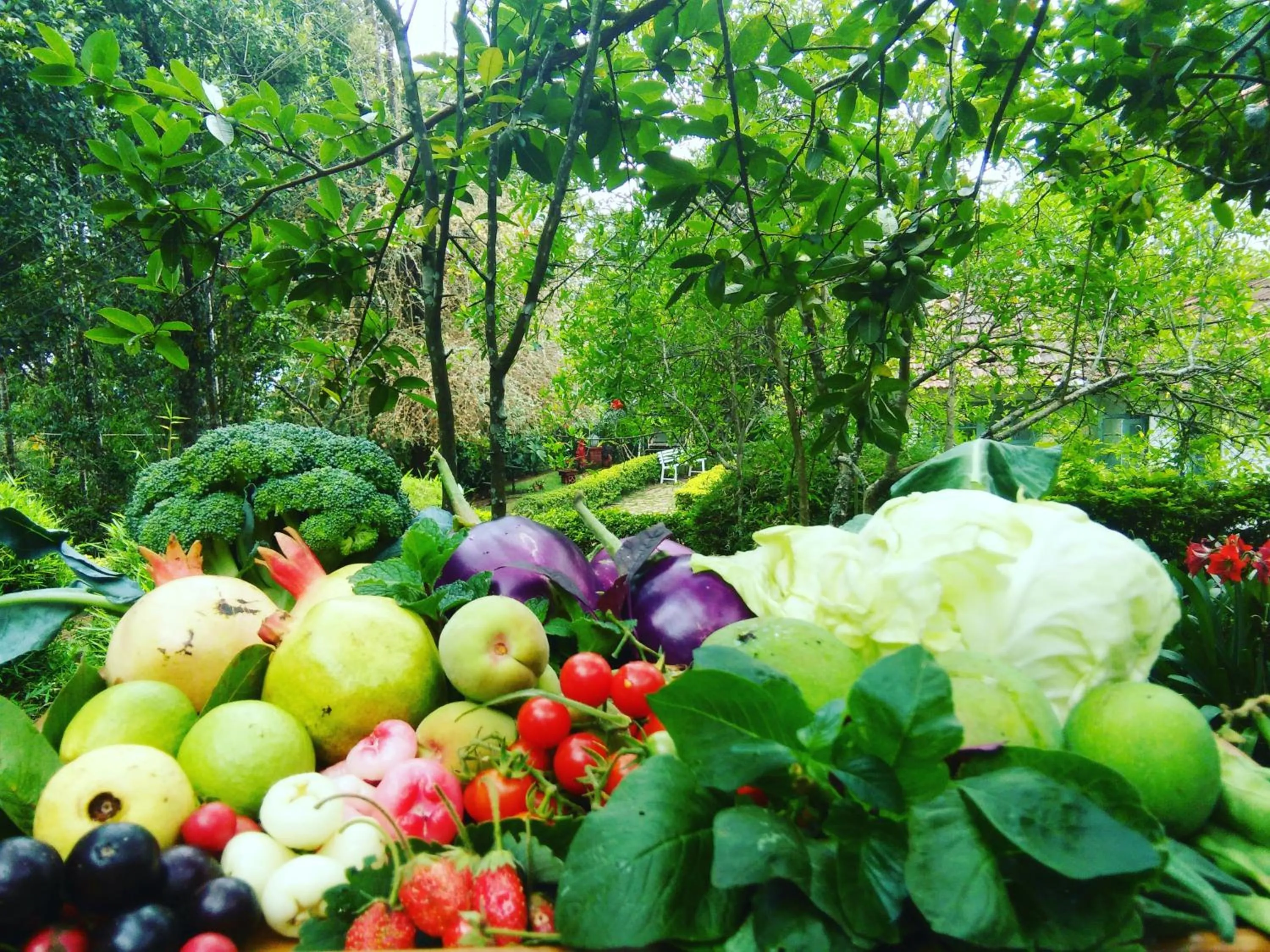 Natural landscape in Ambady Estate