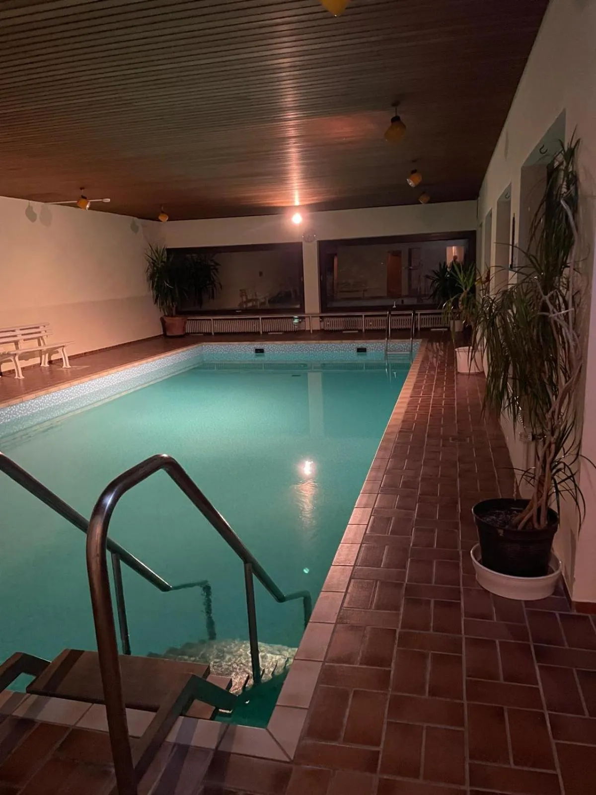 Swimming pool in Hotel Harzer am Kurpark