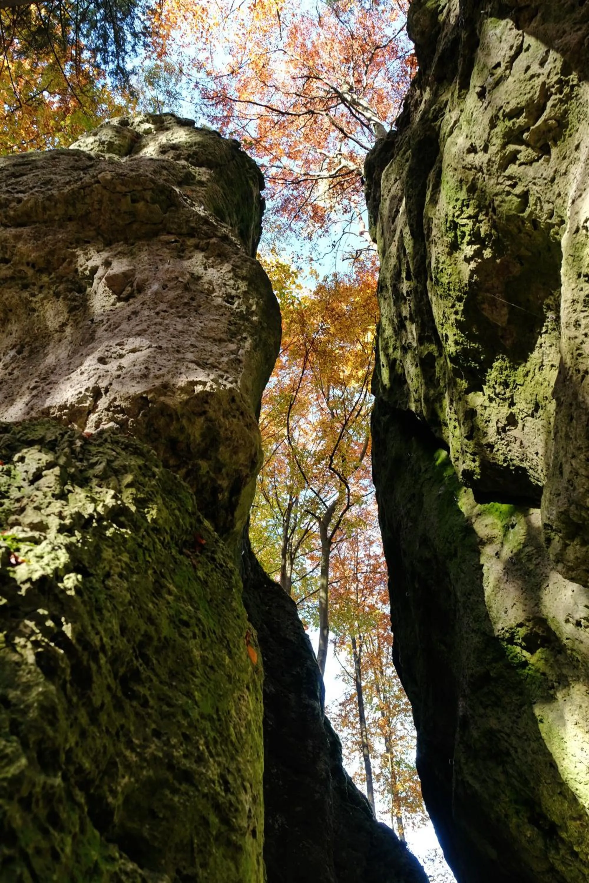 Other in Hotel Königsteiner Hof