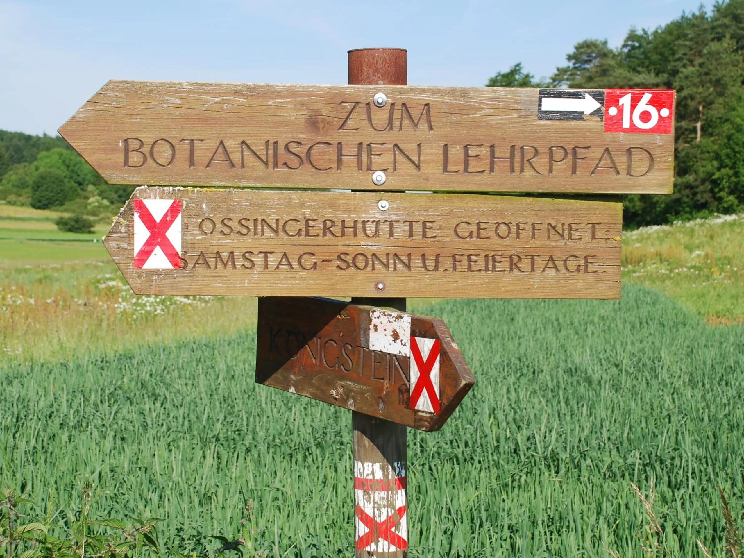 Nearby landmark in Hotel Königsteiner Hof