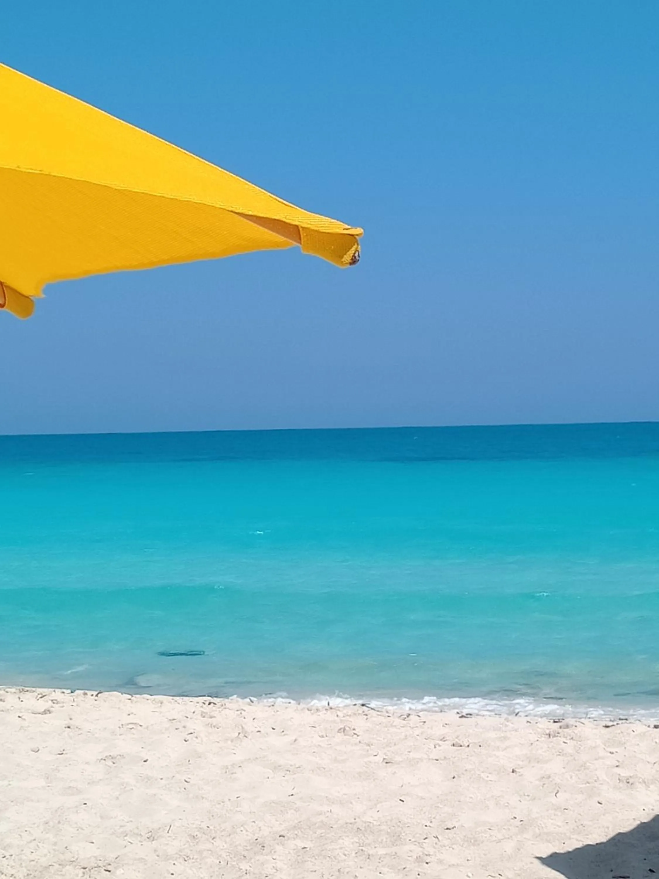 Sea view in Green Leaves Hotel