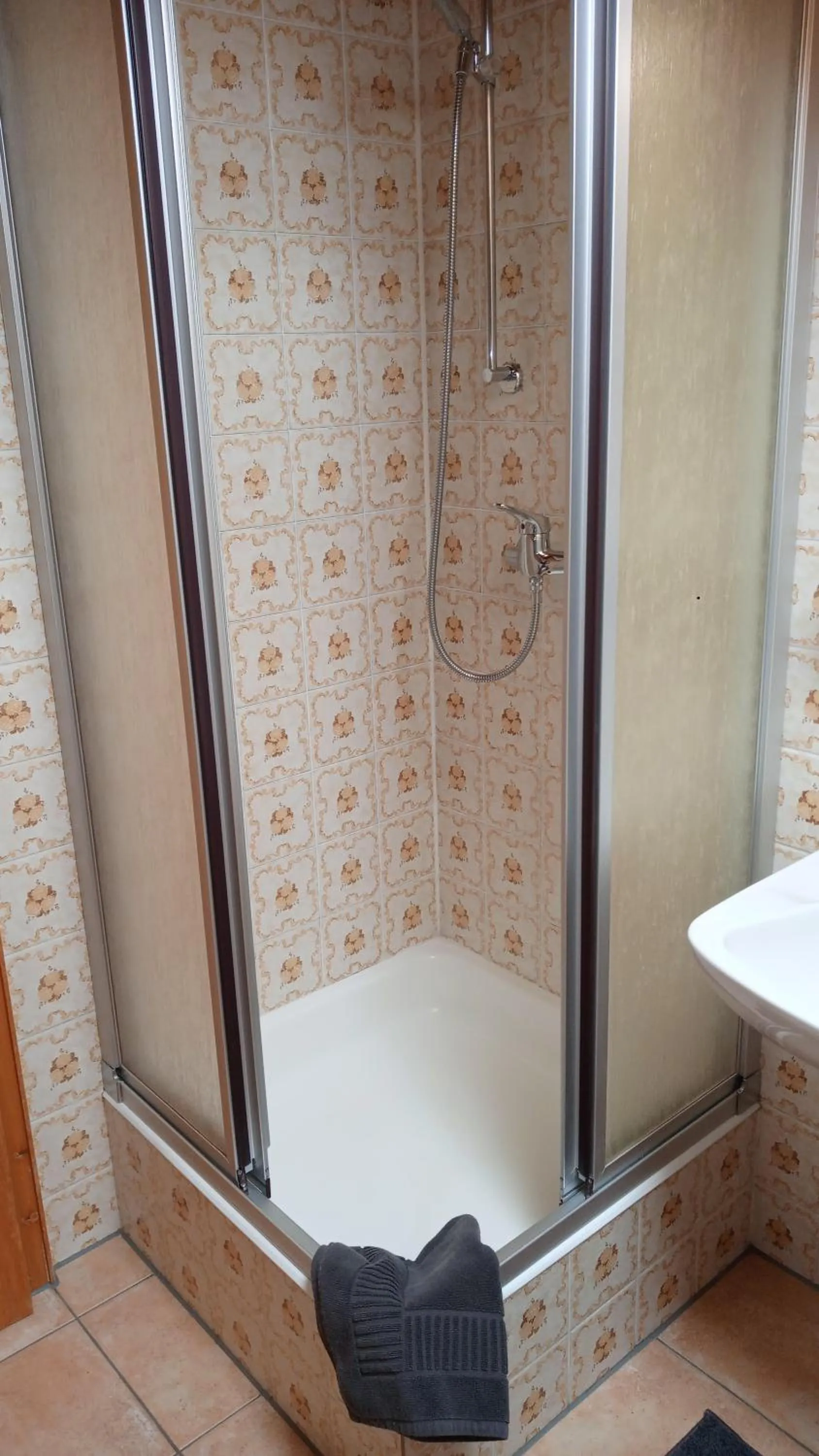 Shower in Haus Lenzer