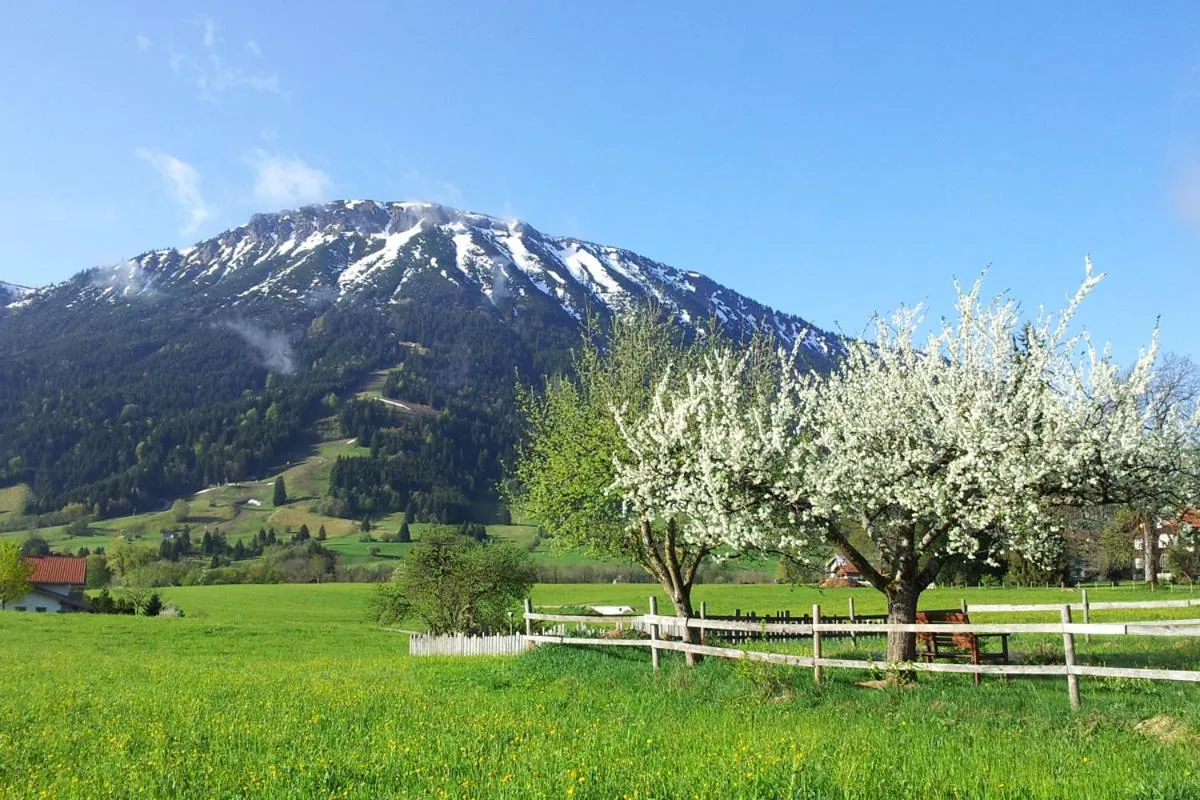 Natural landscape in Haus Lenzer