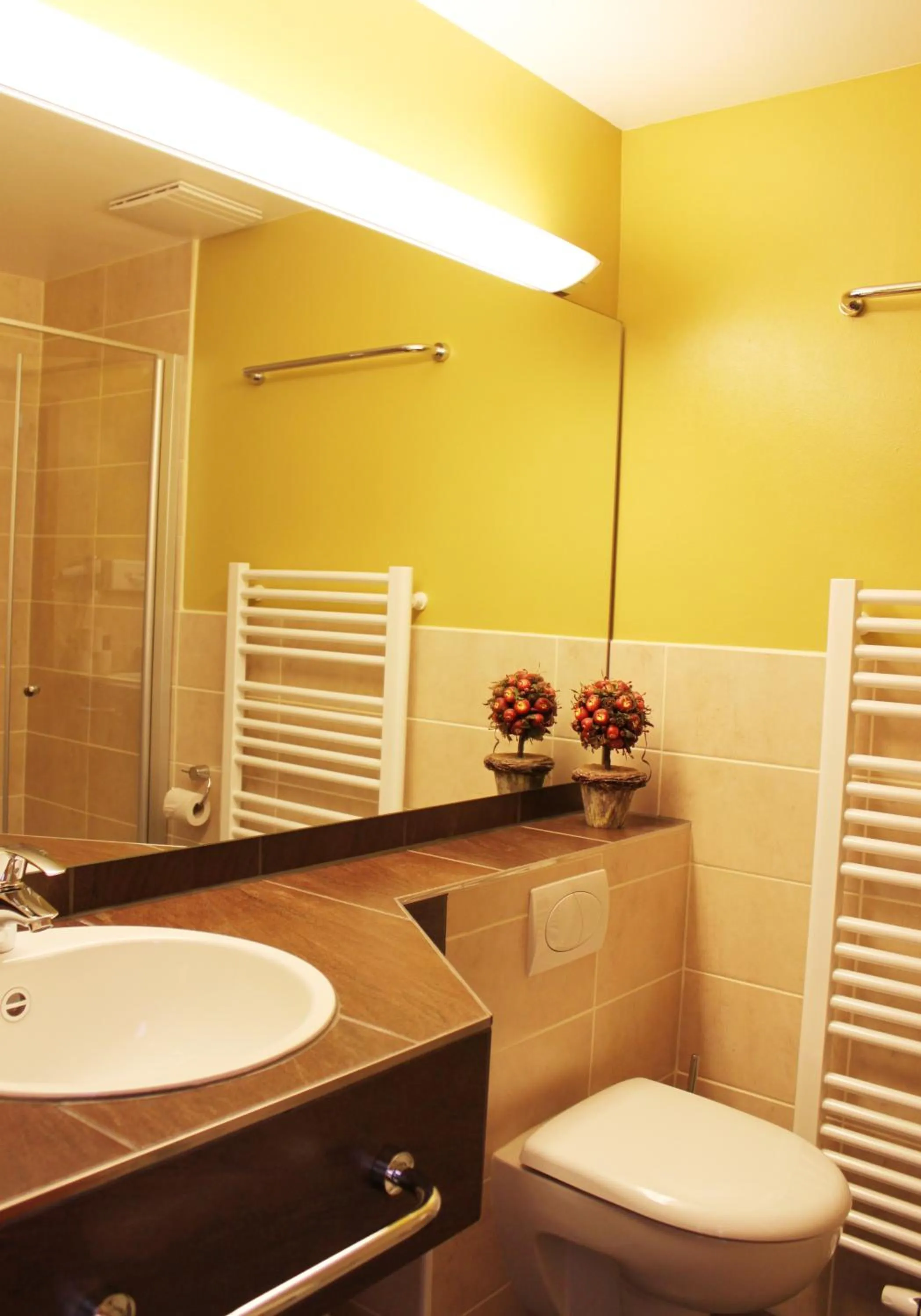 Shower in Altes Forsthaus Braunlage