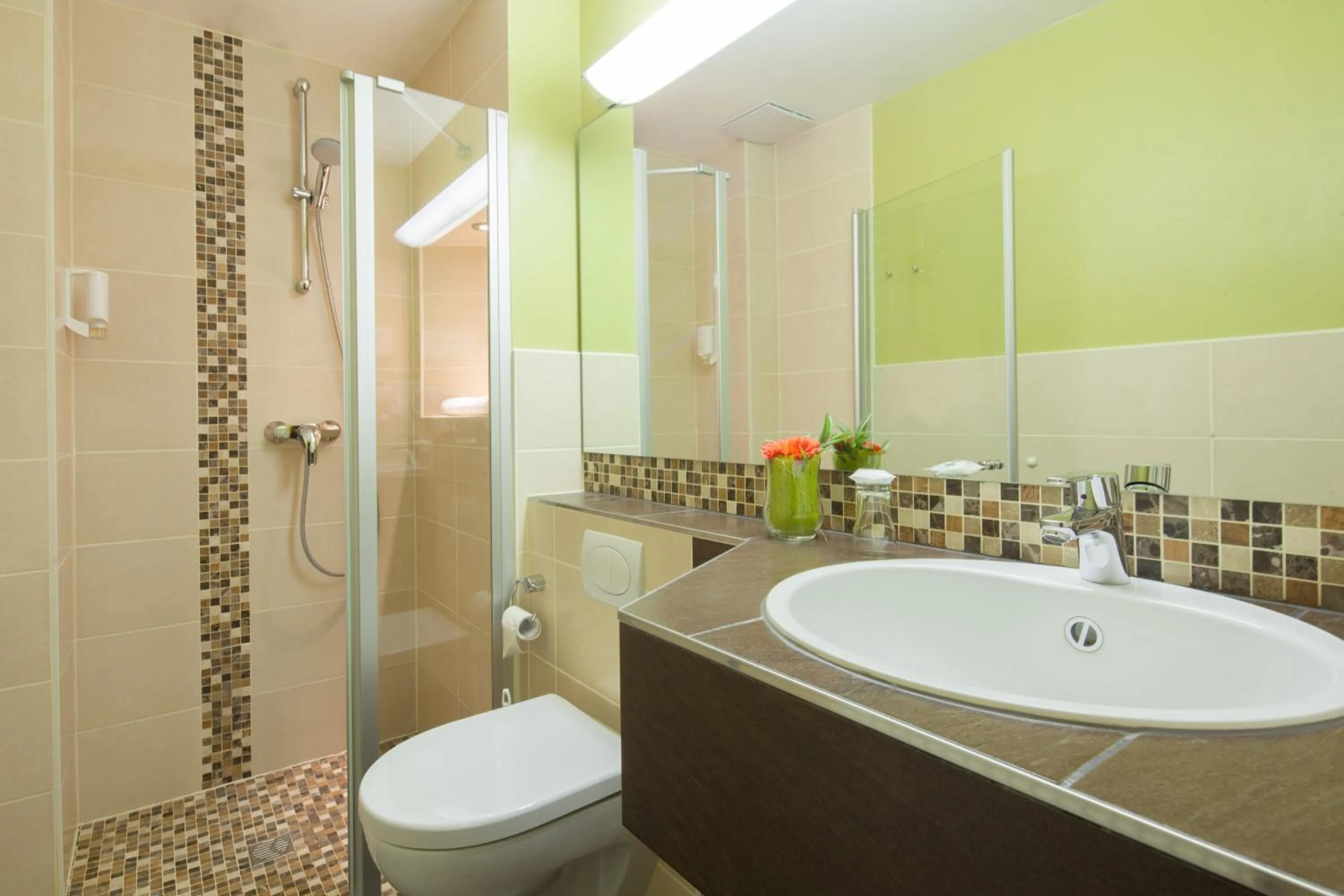 Shower in Altes Forsthaus Braunlage