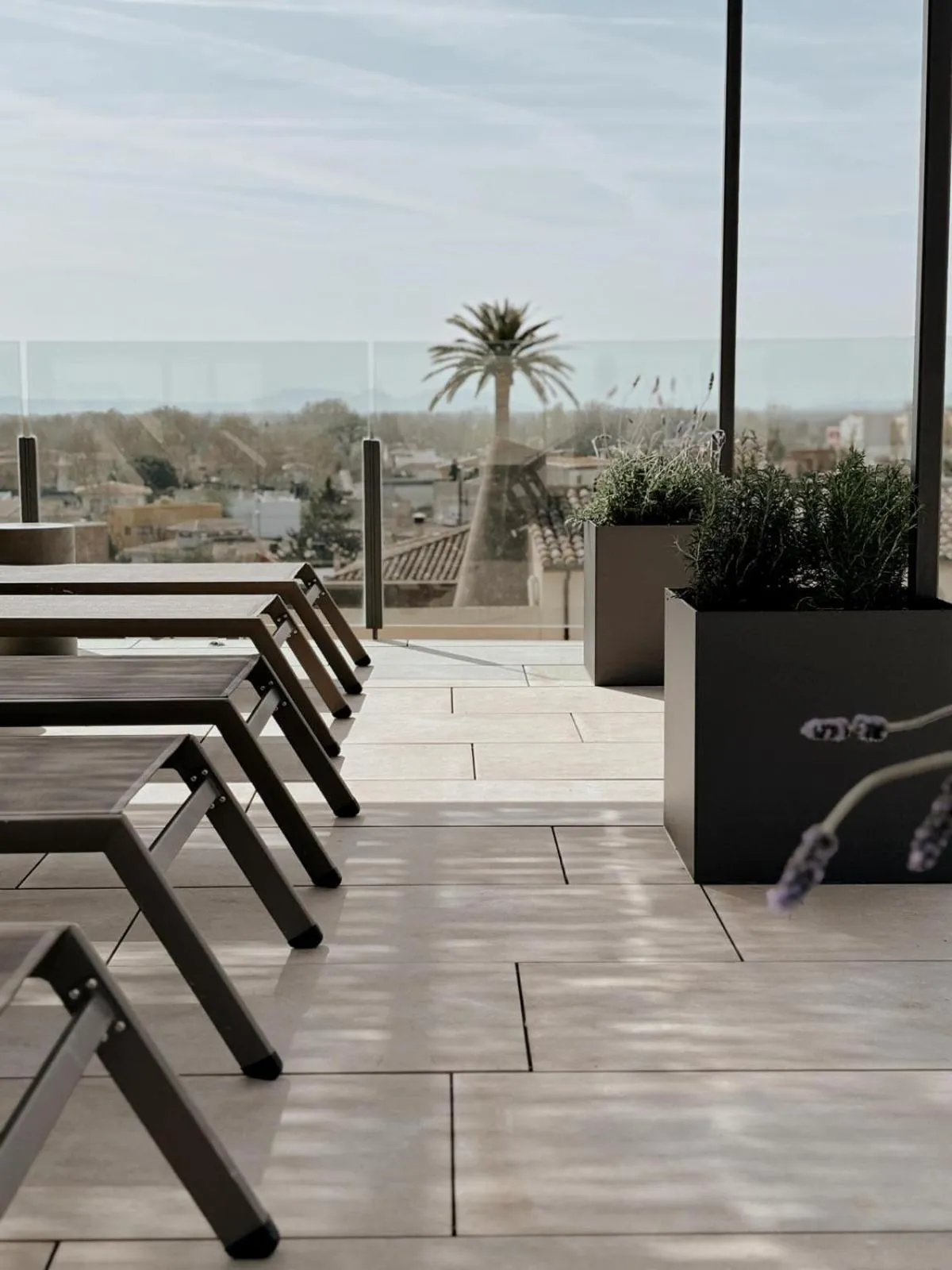 Swimming pool in Hotel Palau Macelli & Spa