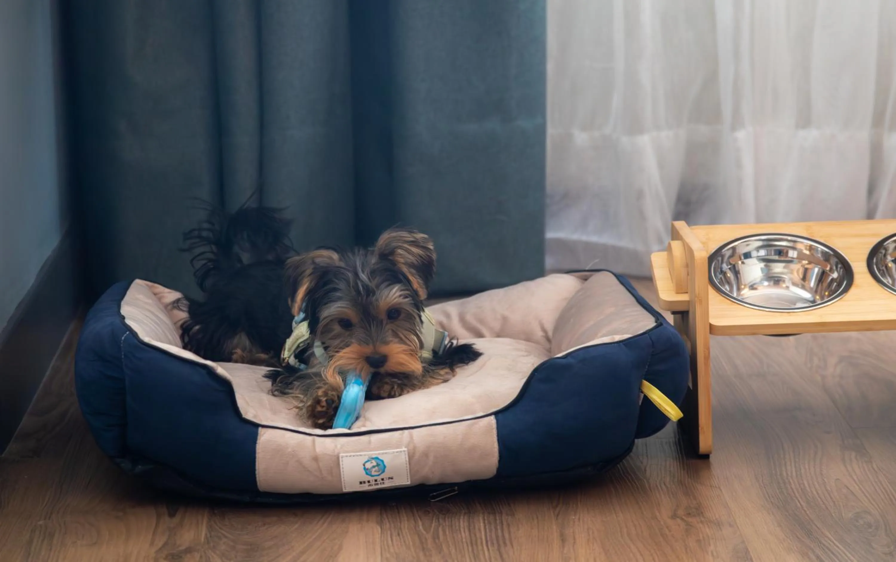 Sonesta Hotel Miraflores