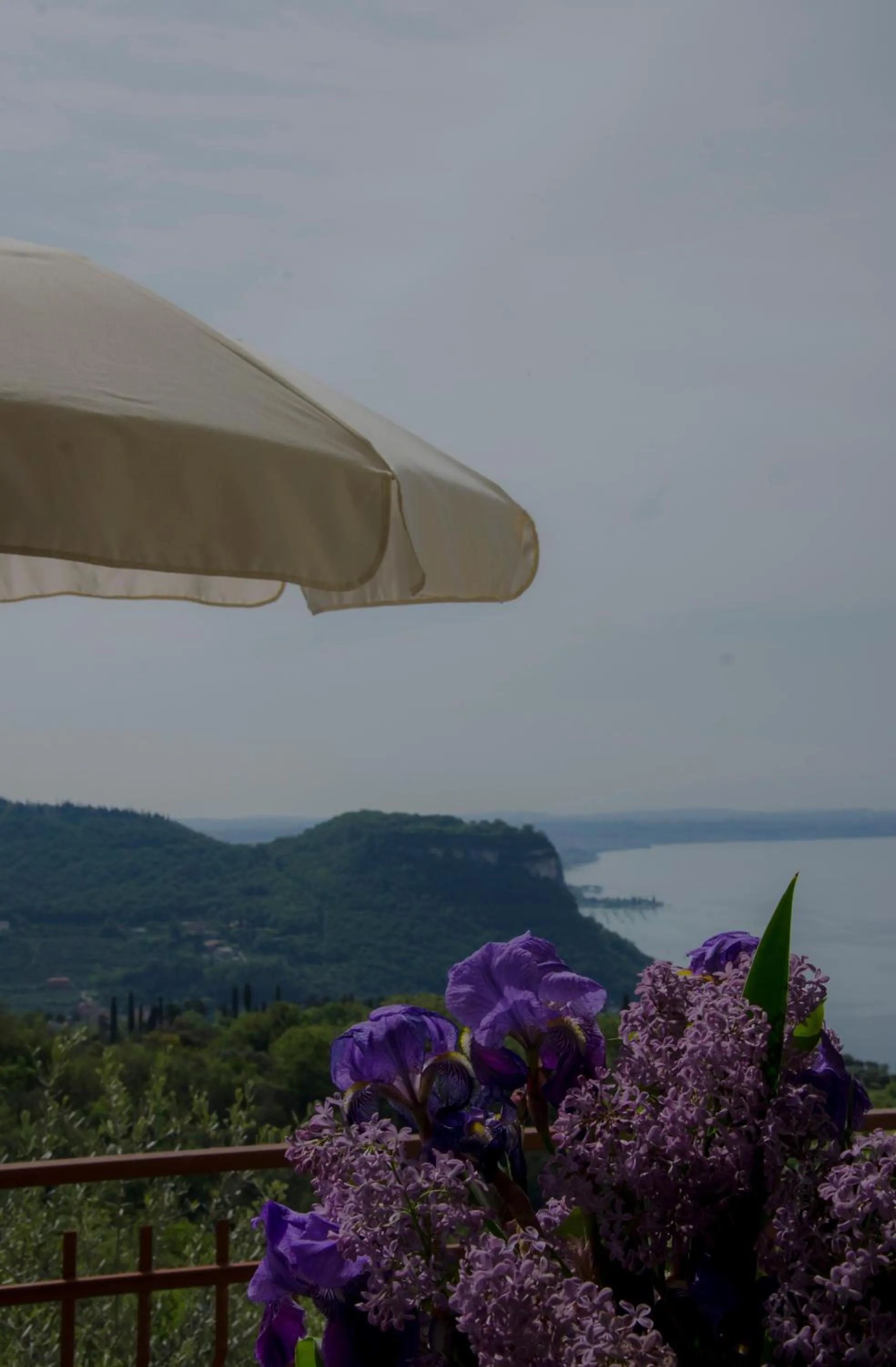 Natural landscape in Residence San Michele