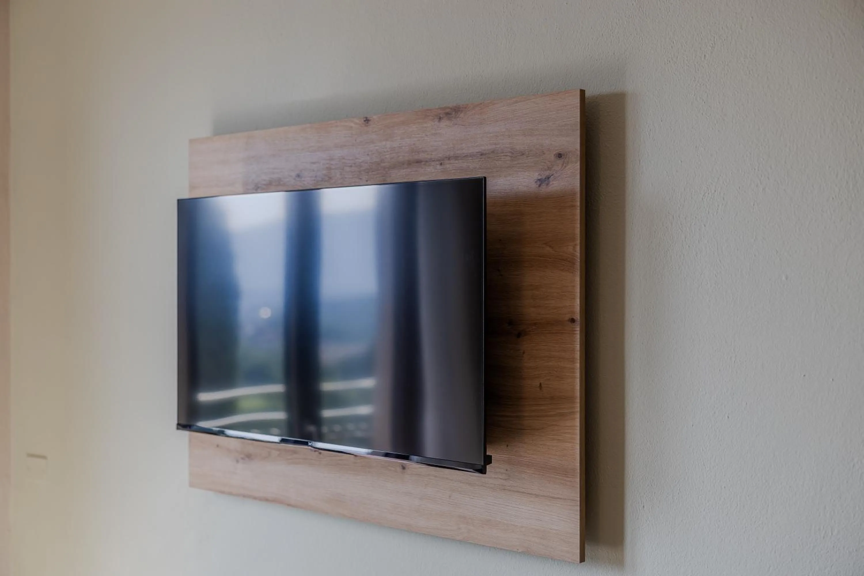 TV and multimedia in Residence San Michele