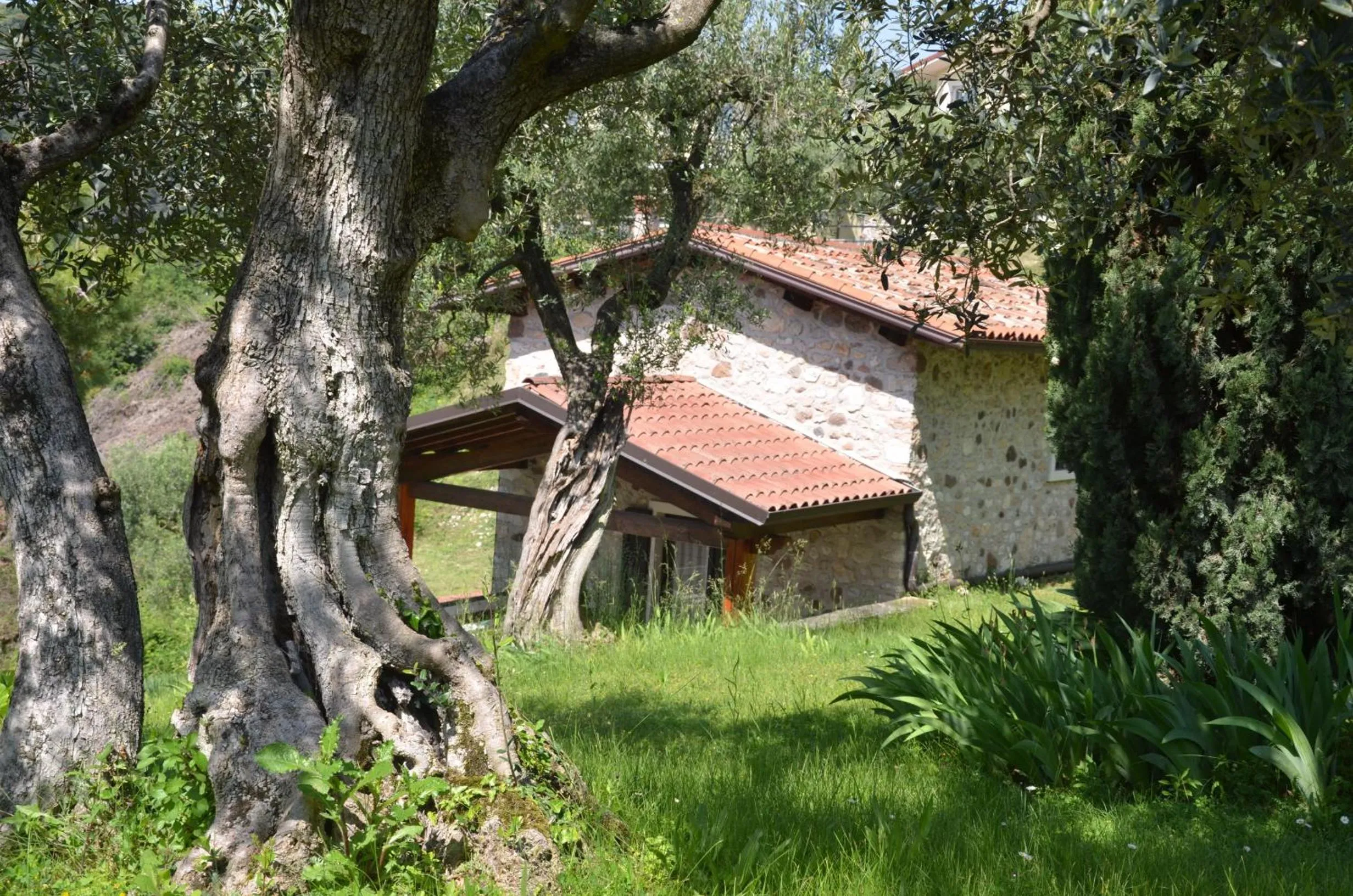 Natural landscape in Residence San Michele