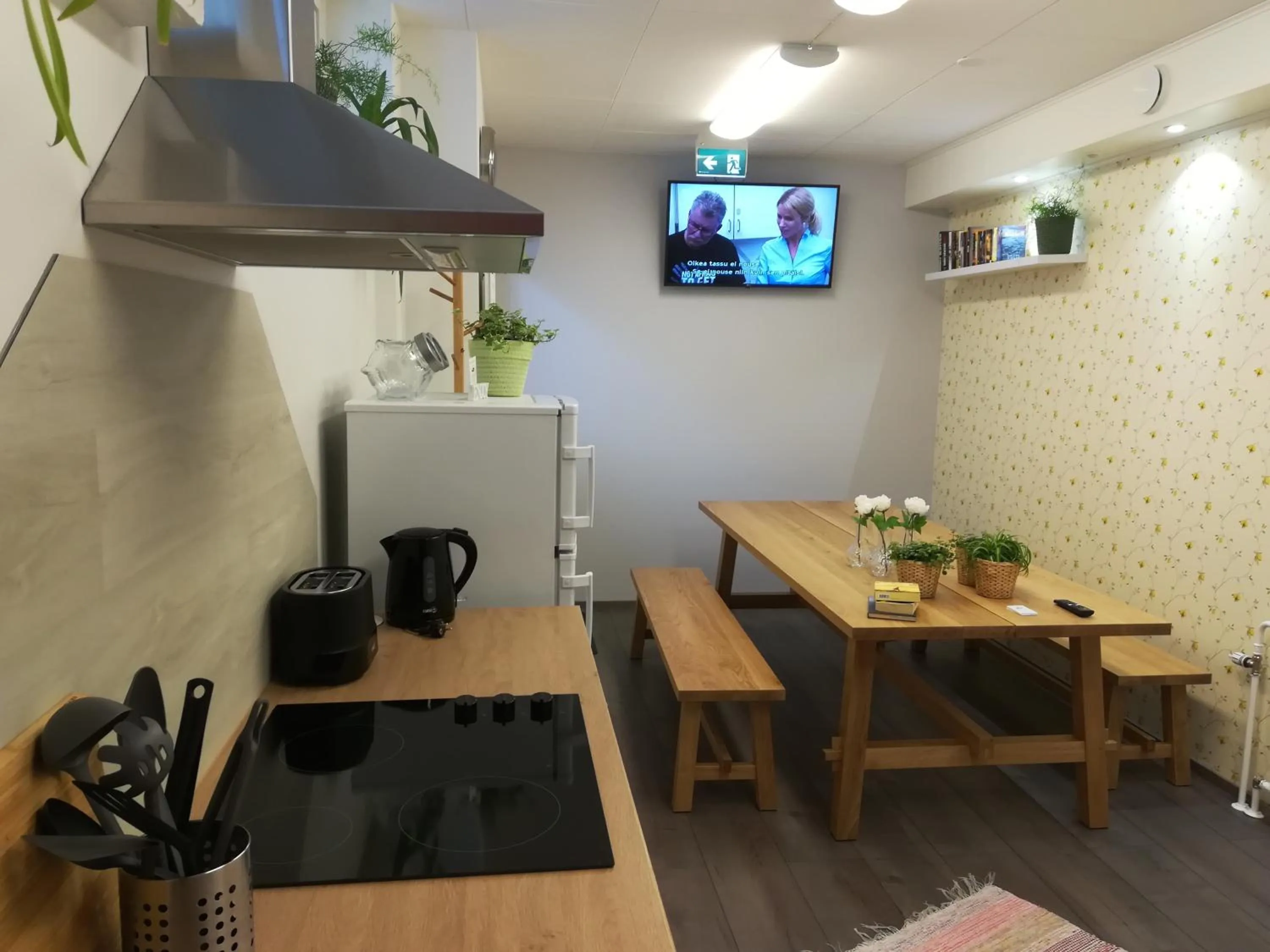 Kitchen or kitchenette in Savonlinna Rentals