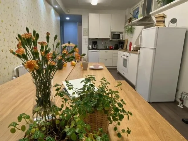 Kitchen or kitchenette in Savonlinna Rentals