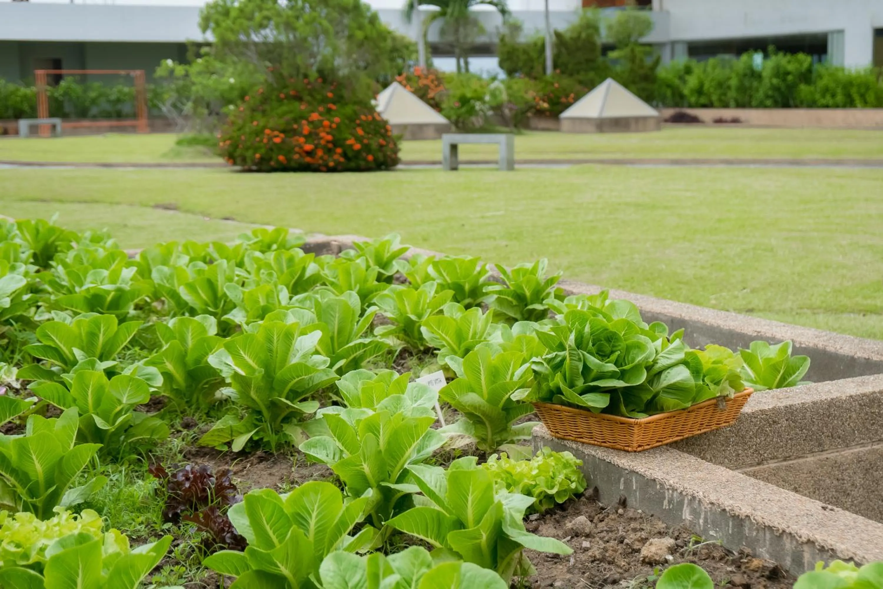 Lee Gardens Plaza Hotel - SHA Plus