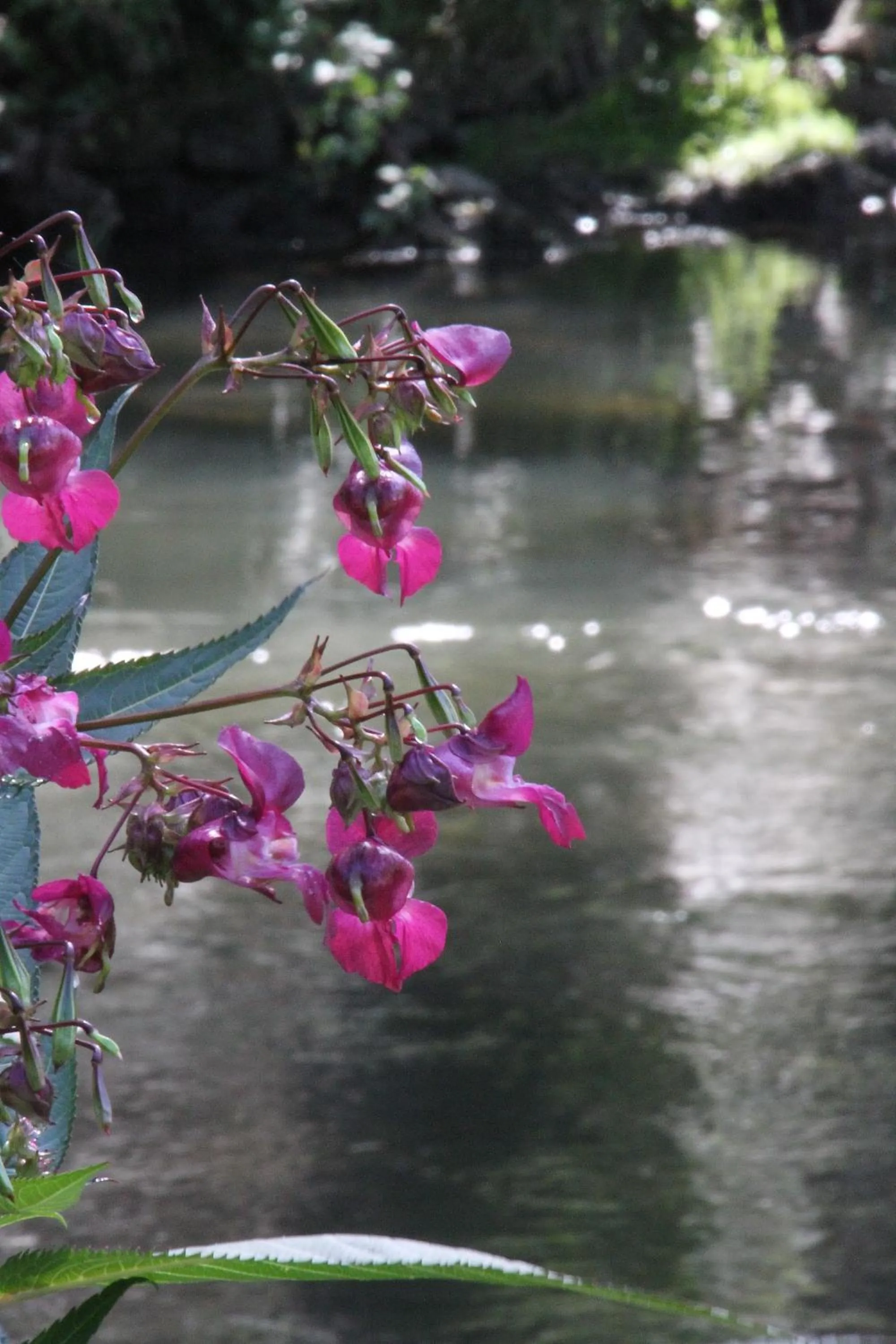 Business Class Hotel Häckermühle