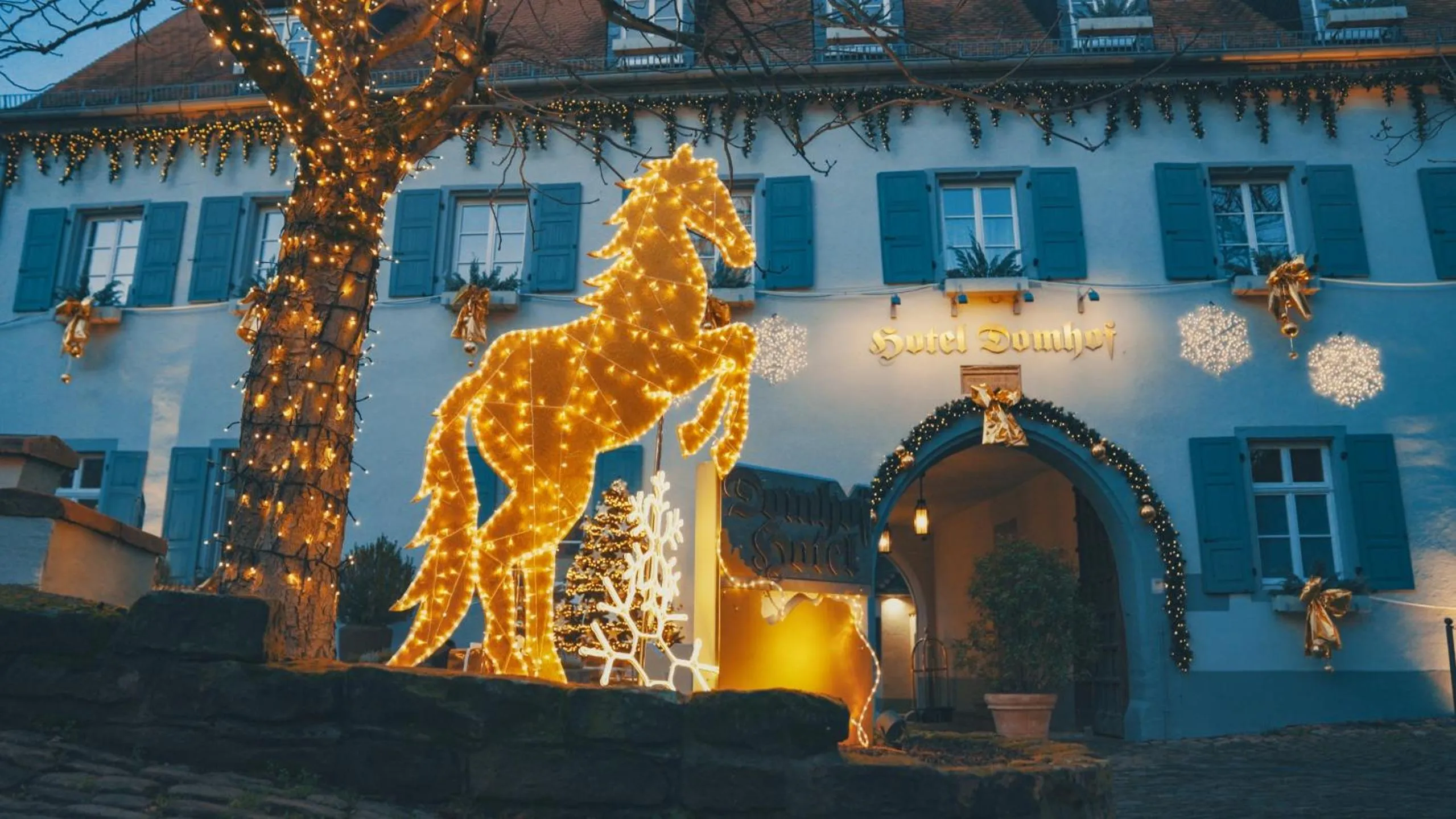 Property building in Hotel Domhof