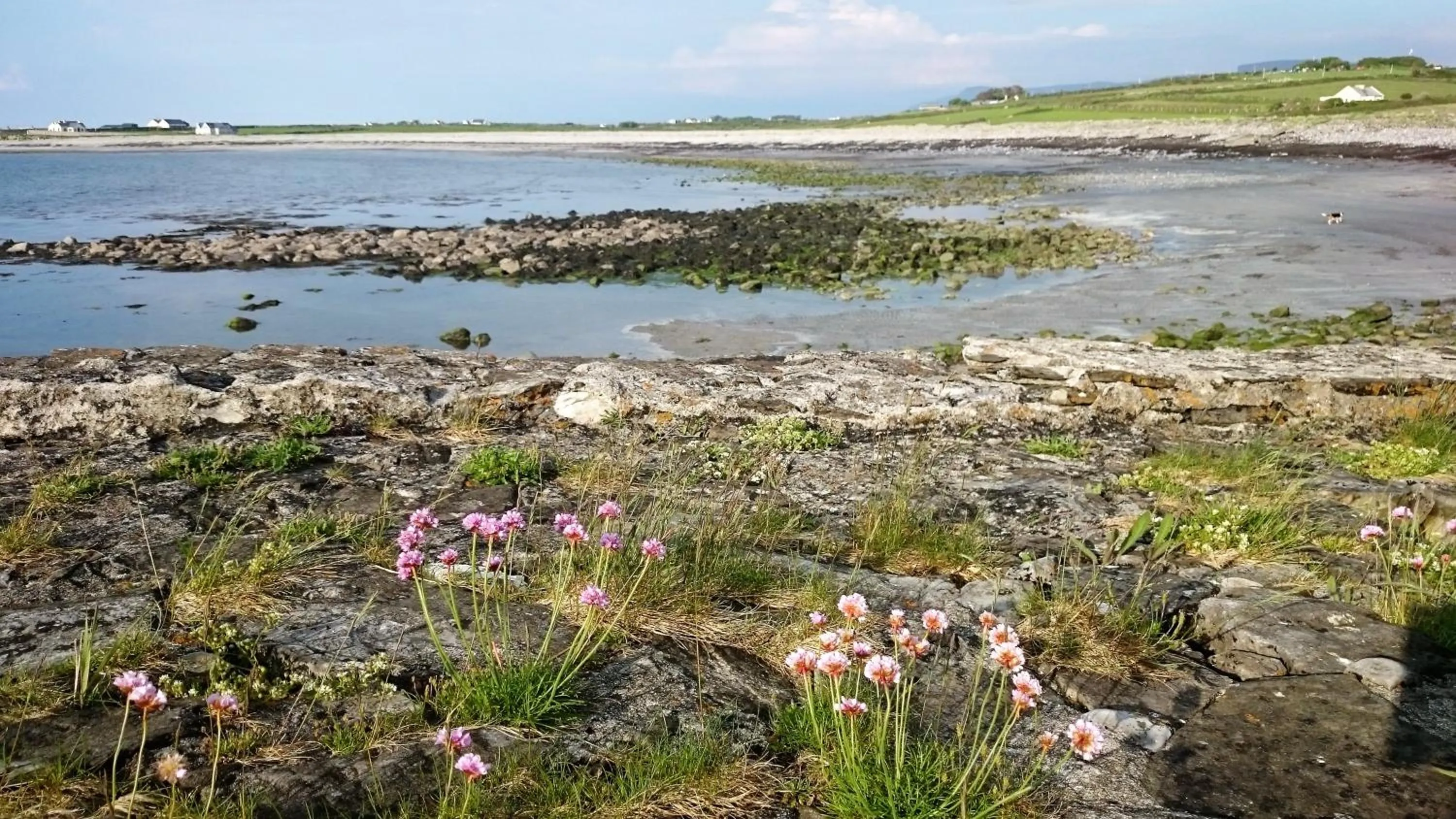 Beach in Ocean Heights B&B