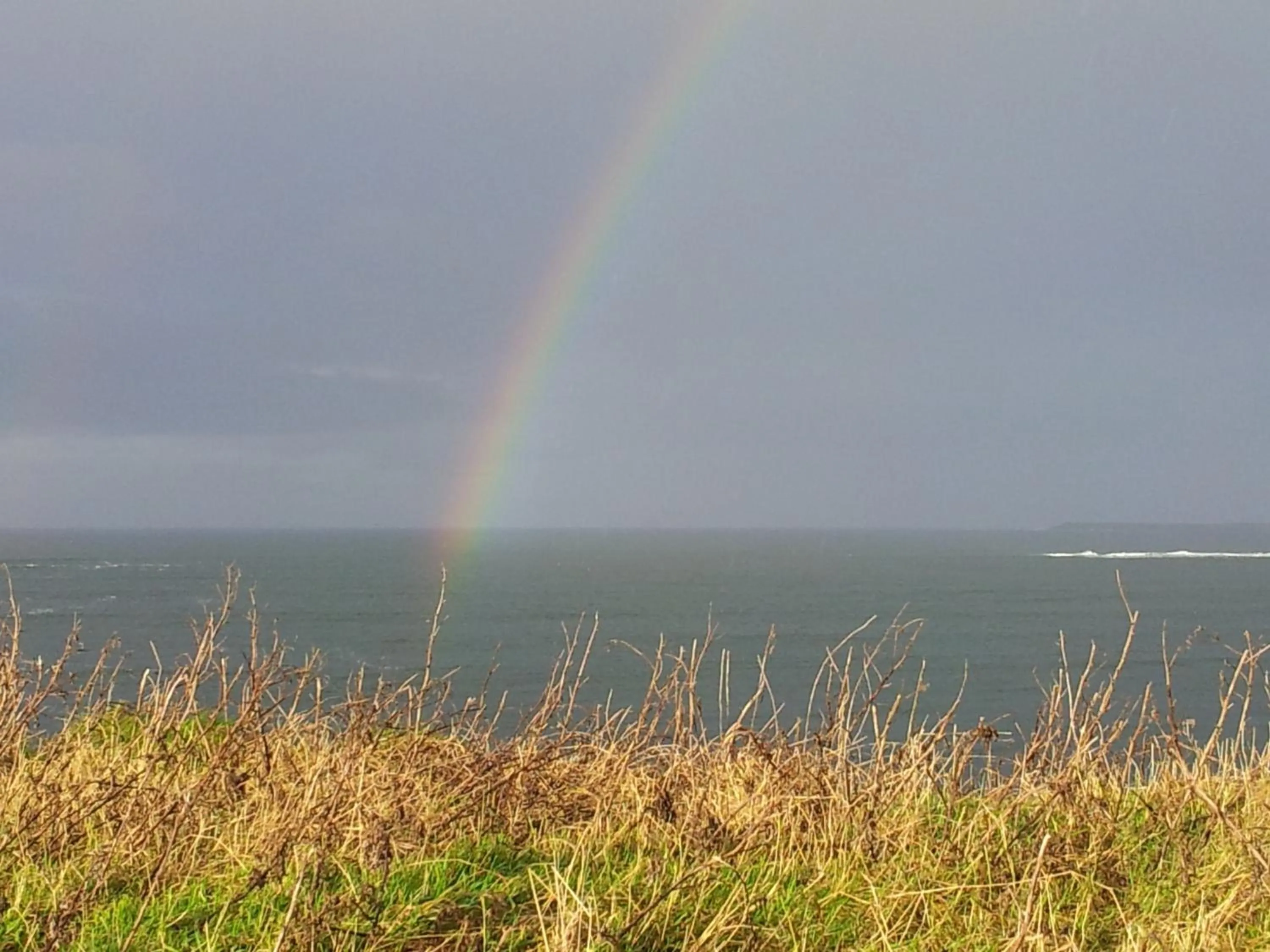 Natural landscape in Ocean Heights B&B