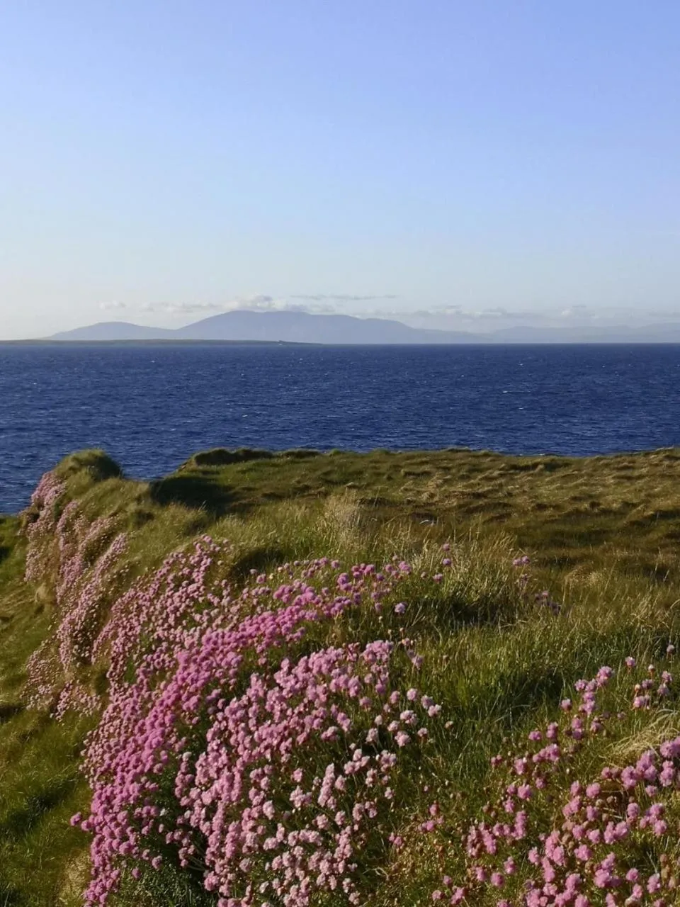 Natural landscape in Ocean Heights B&B