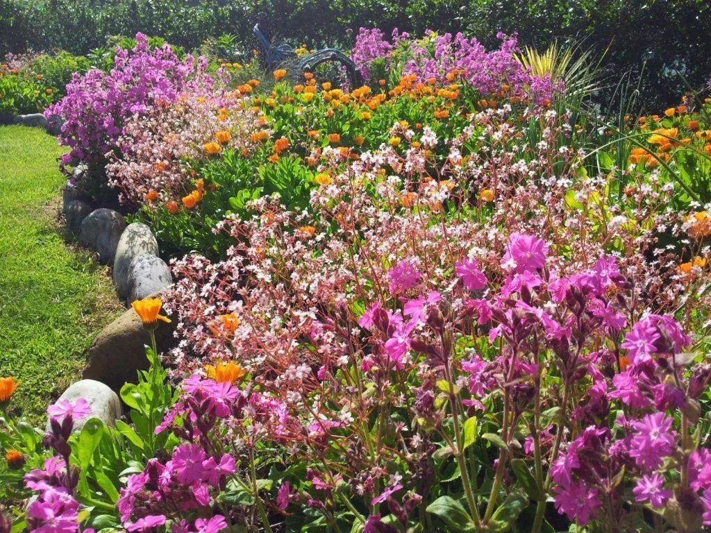 Garden in Ocean Heights B&B