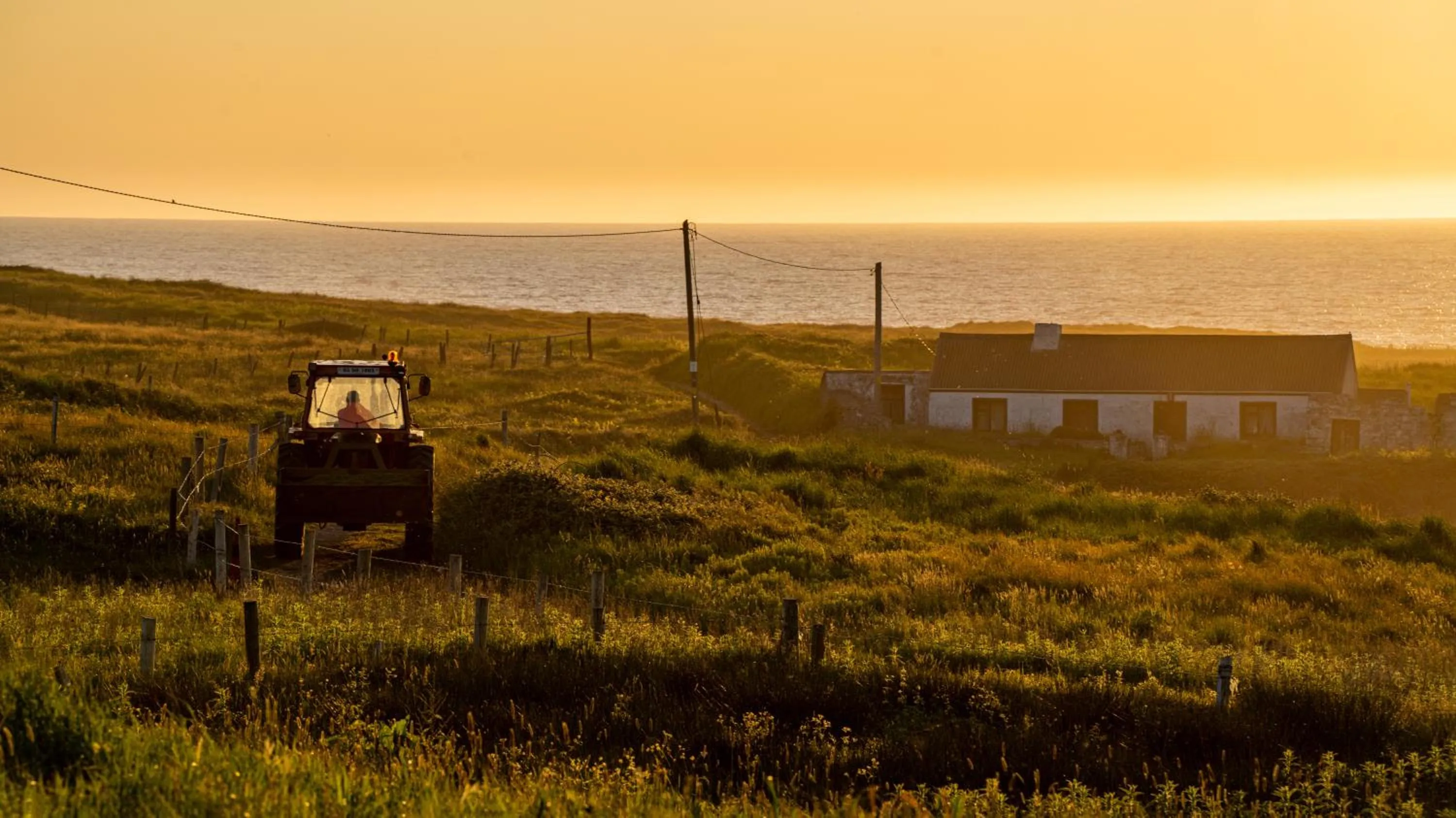 Natural landscape in Ocean Heights B&B