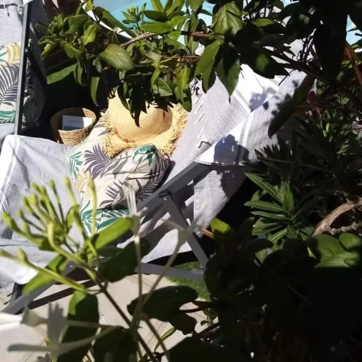 Garden in Le Petit Patio