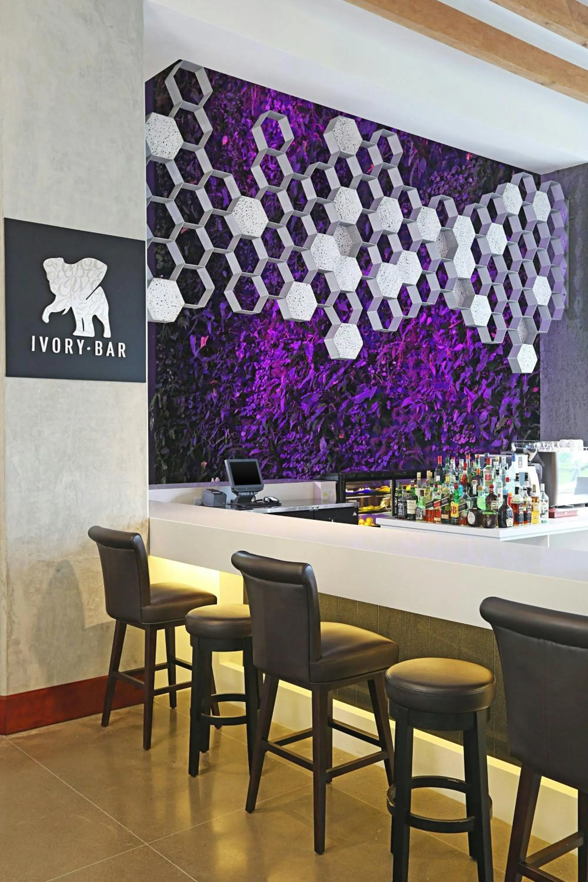 Lounge or bar in Sheraton San Jose Hotel, Costa Rica