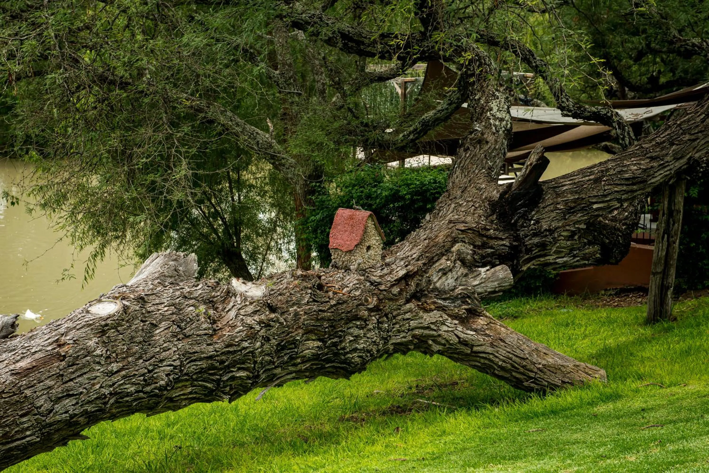 Lake view in Villas Casa de Aves