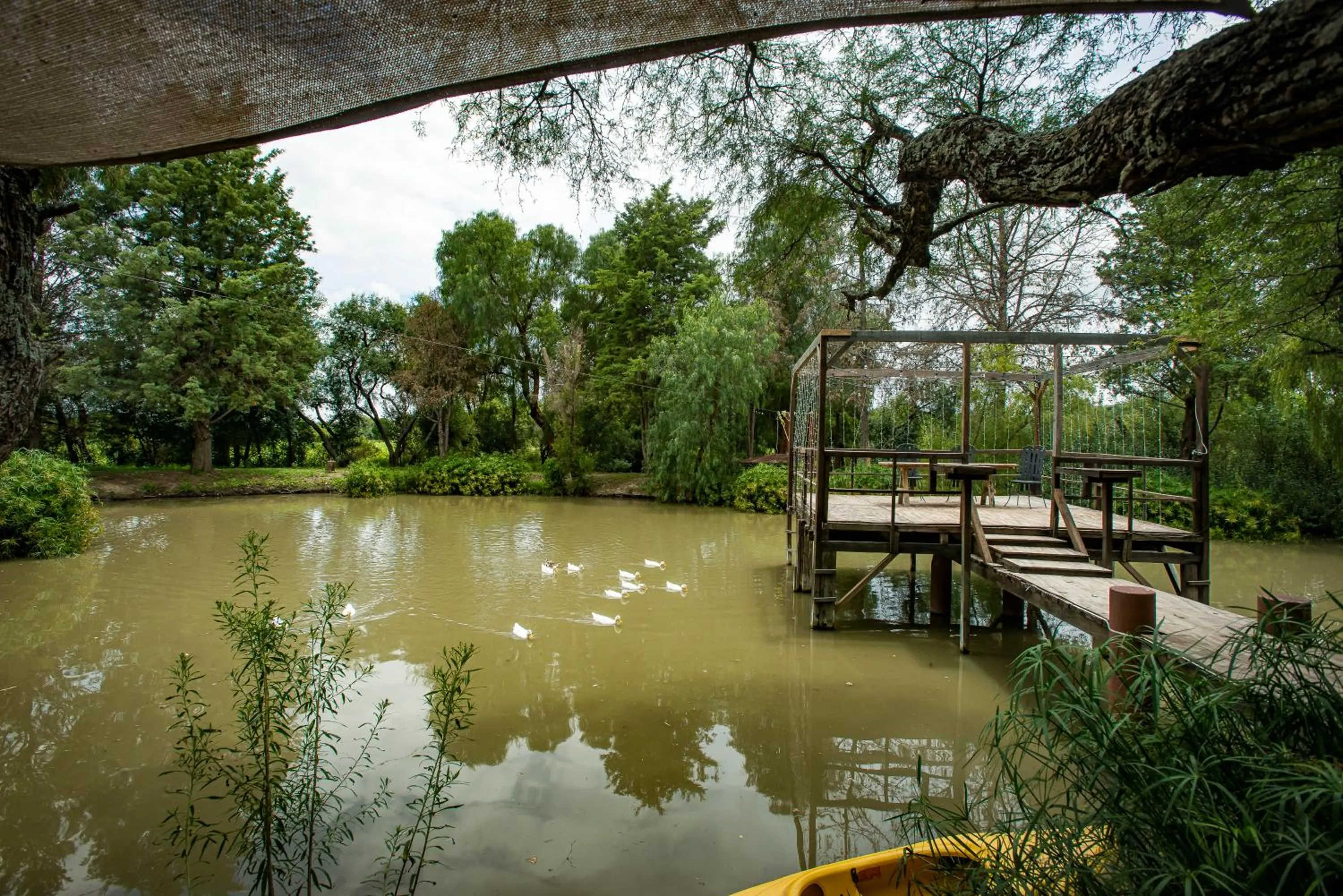 Natural landscape in Villas Casa de Aves