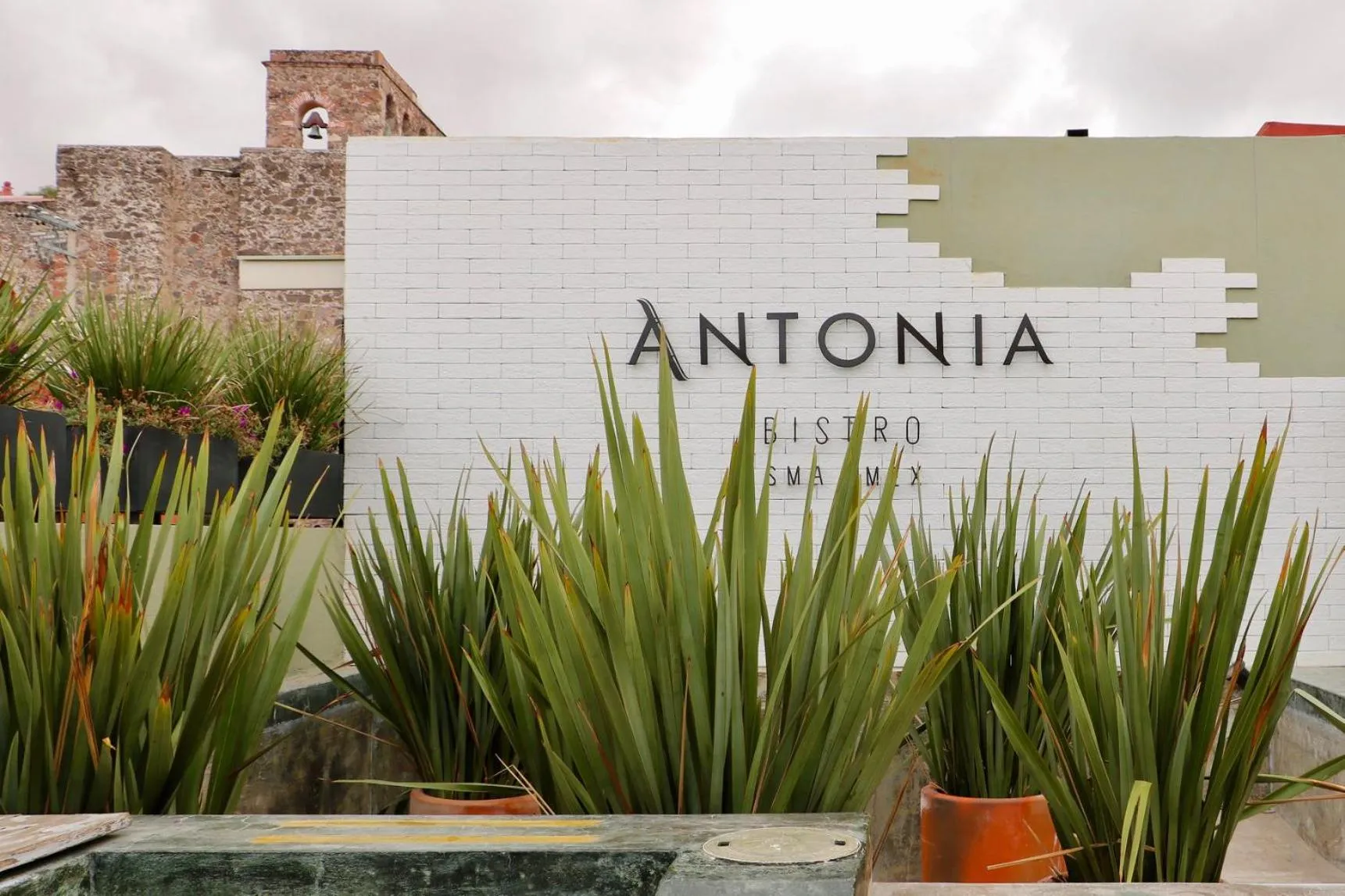 Restaurant/places to eat in Hotel Boutique El Palomar