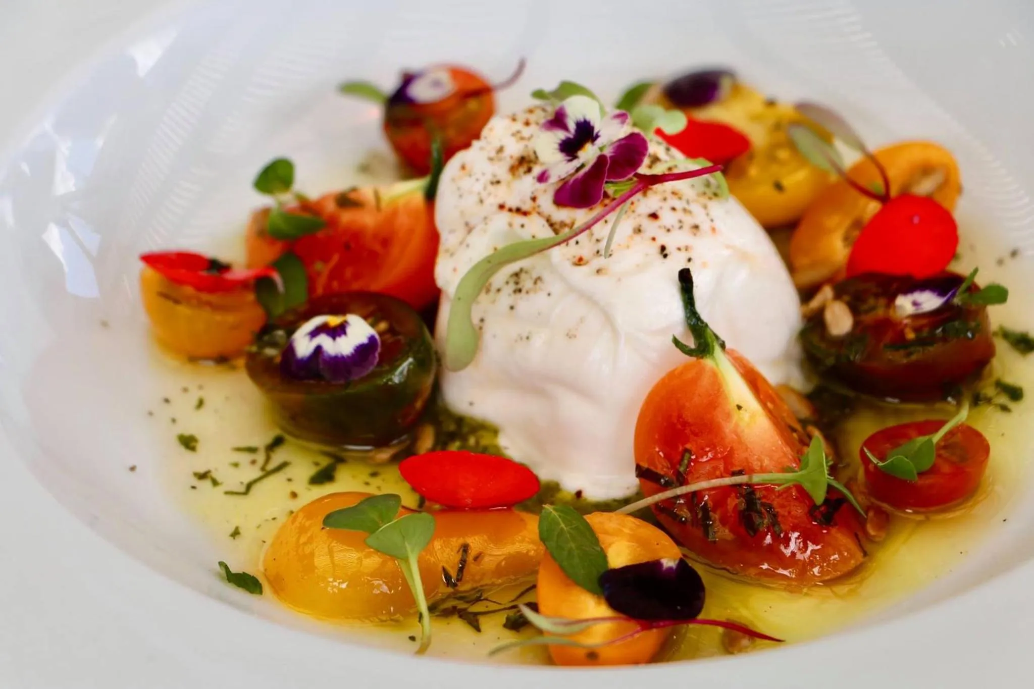 Restaurant/places to eat in Hotel Boutique El Palomar