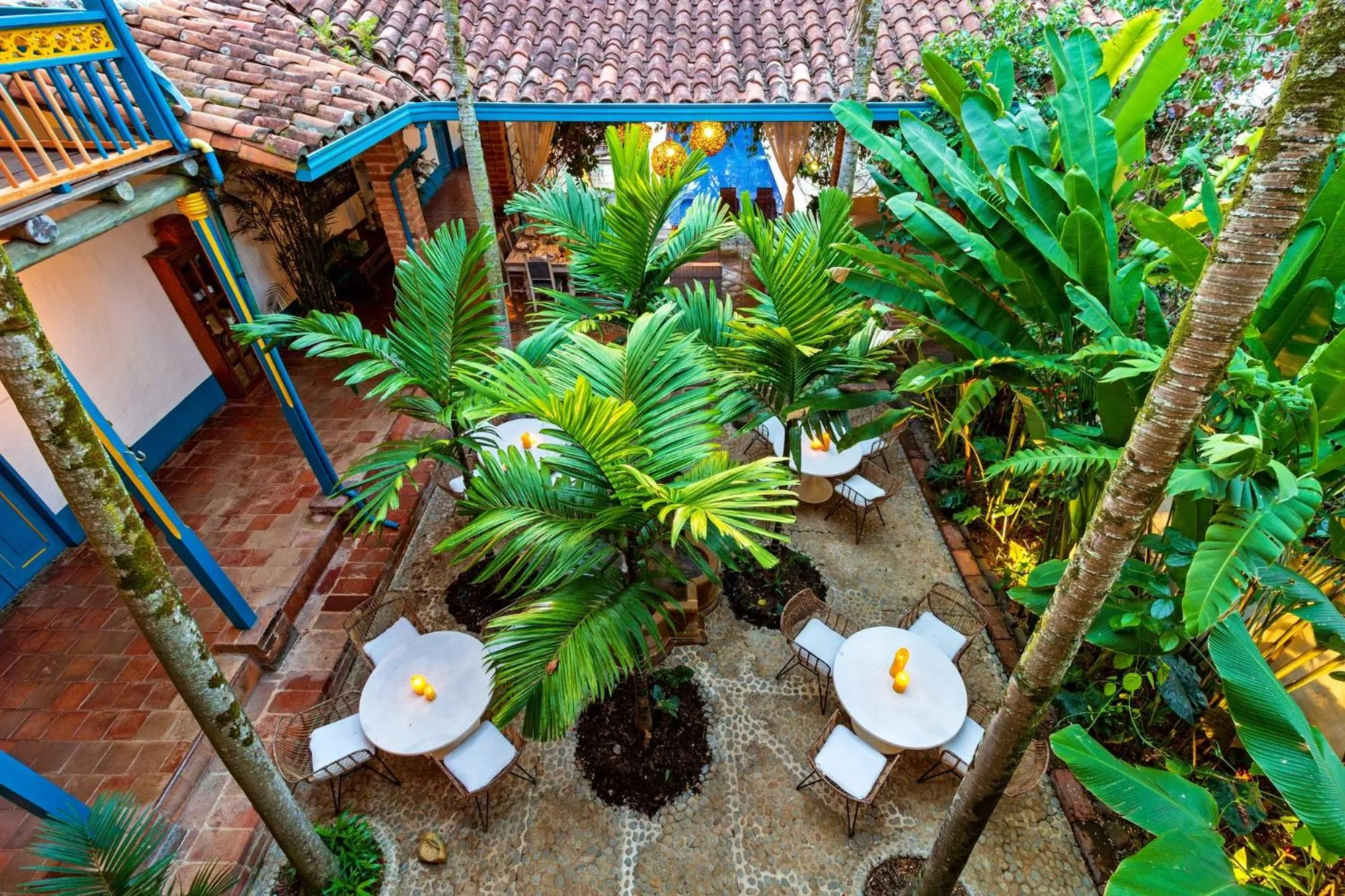 Garden view in Hotel Boutique Fundadores en Cauca Viejo