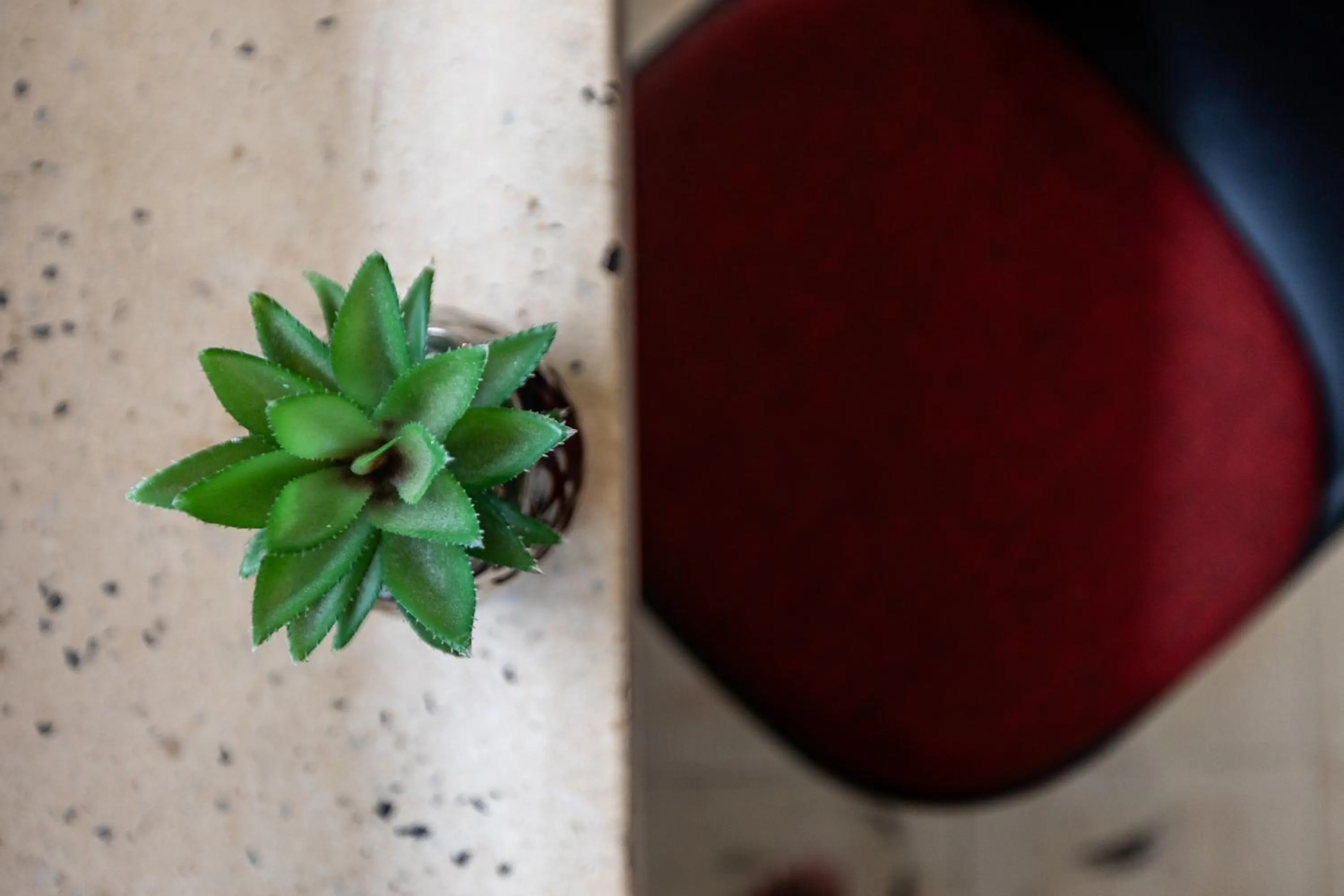 Decorative detail in Art Studios