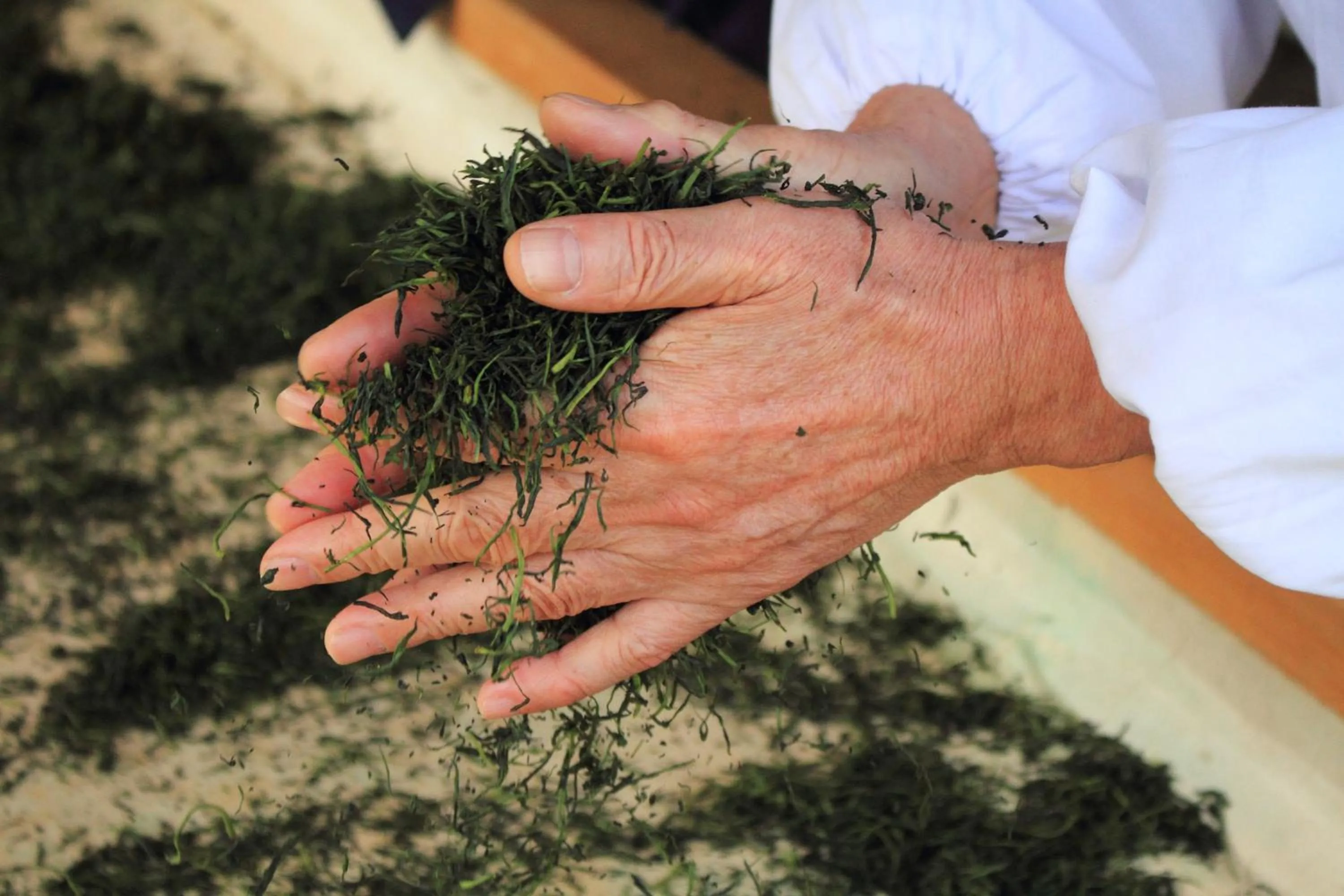 Other in NIPPONIA HOTEL Yamefukushima Merchant Town